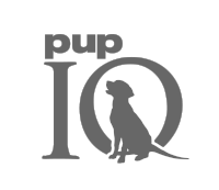 BR_PUPiQ_Logo_Final01.png