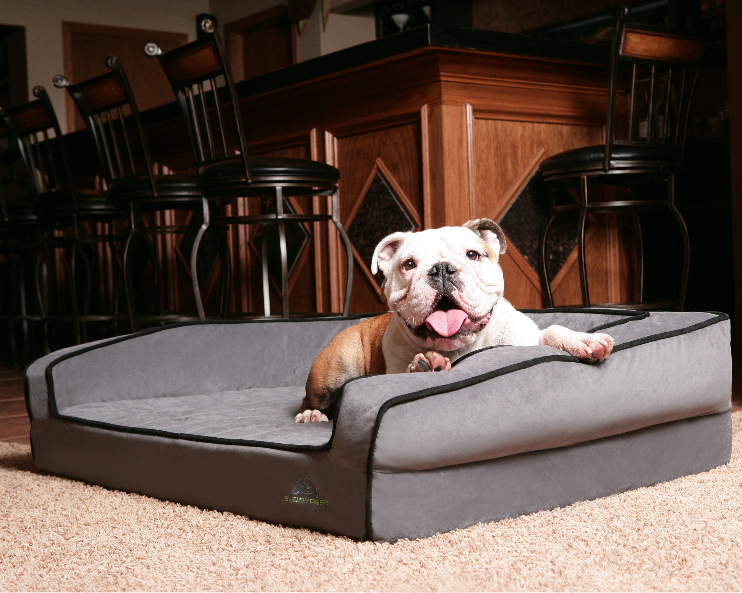 buddyrest dog bed