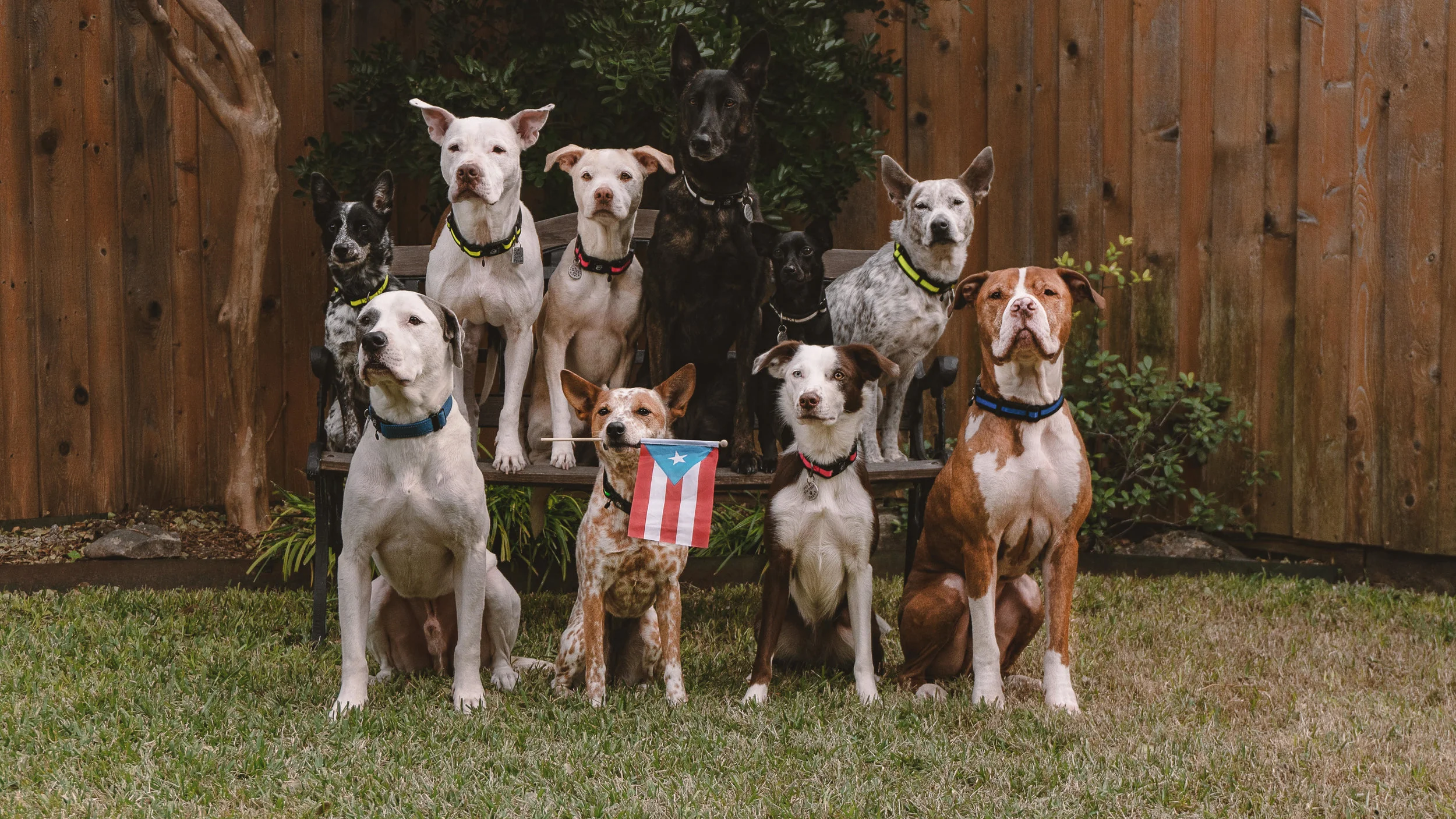 pack pic.jpg