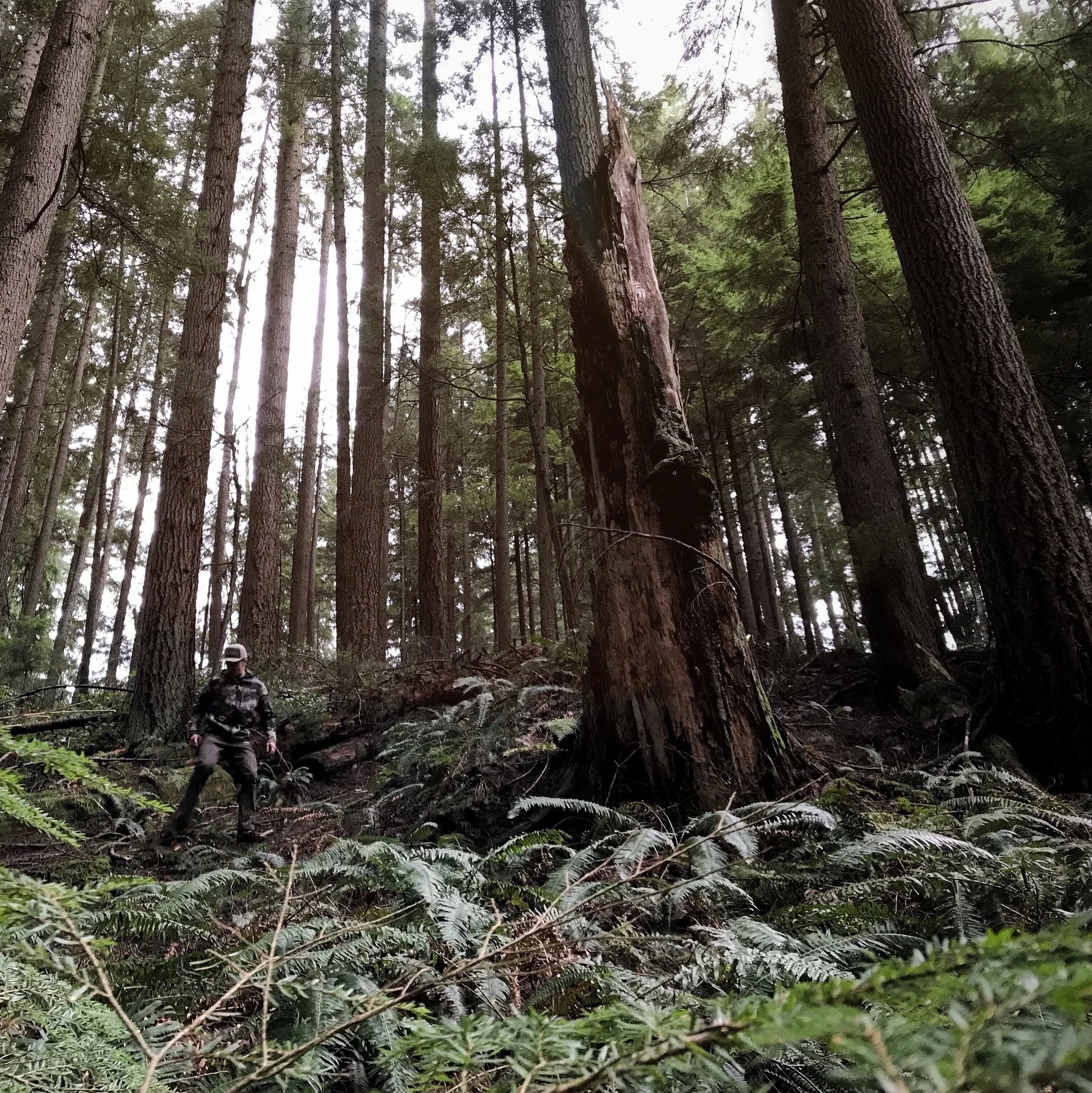 kuiu bowhunting.jpg