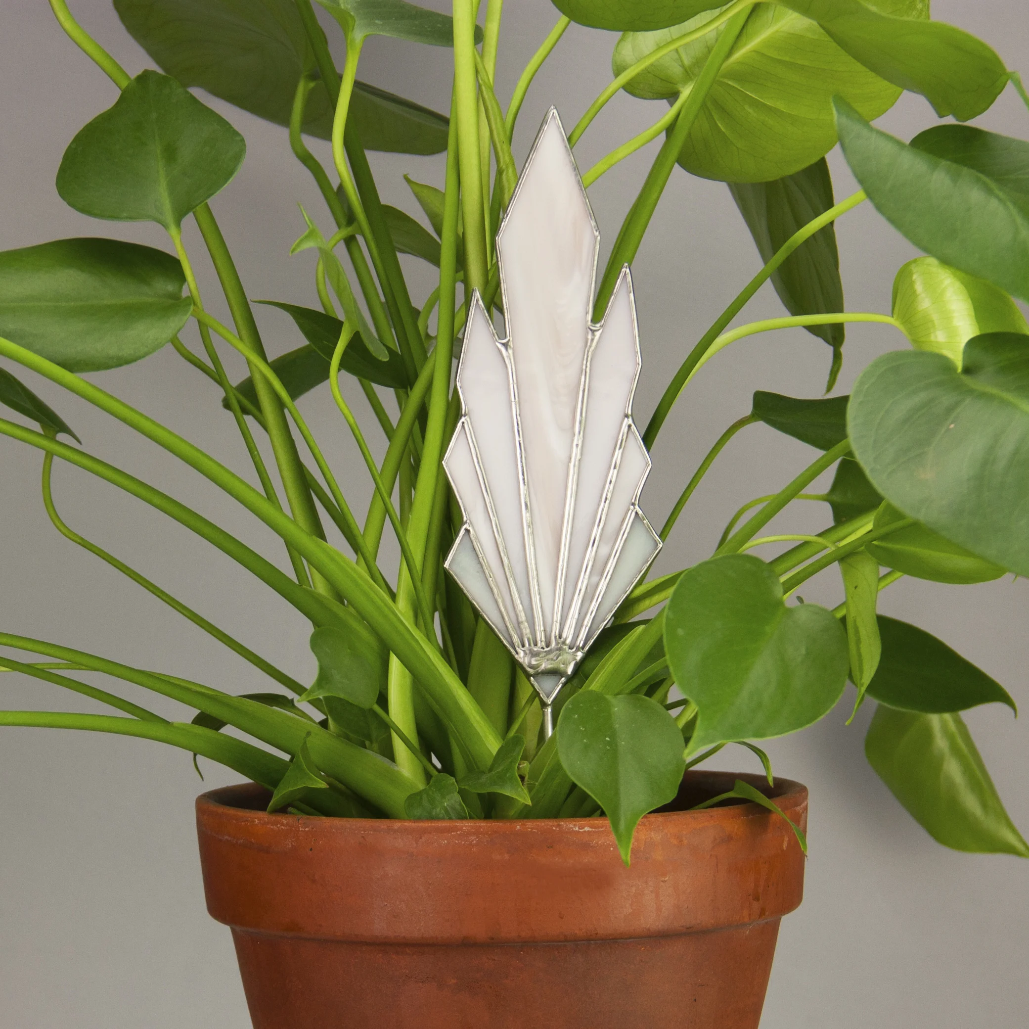 DecoCrystal_Monstera.jpg