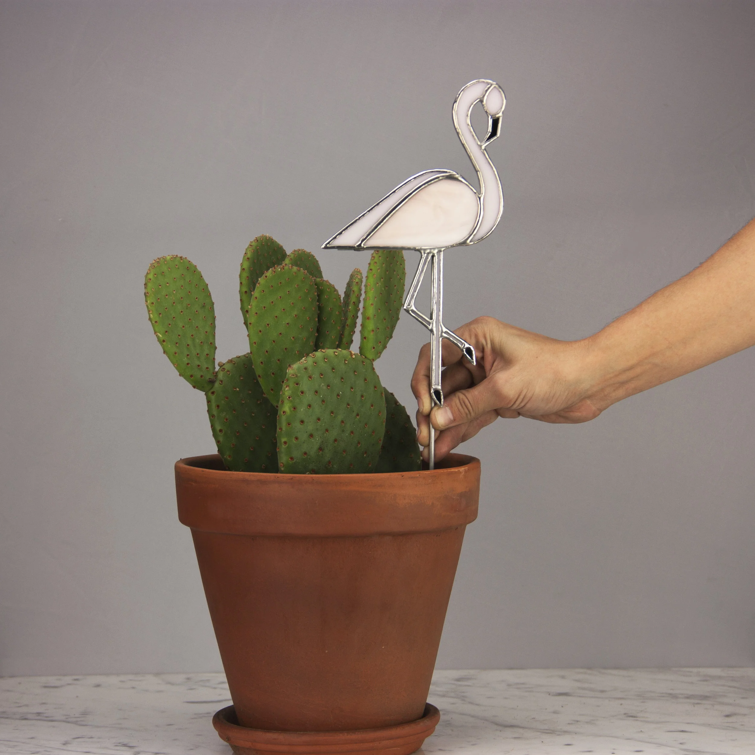 Flamingo_Hand.jpg