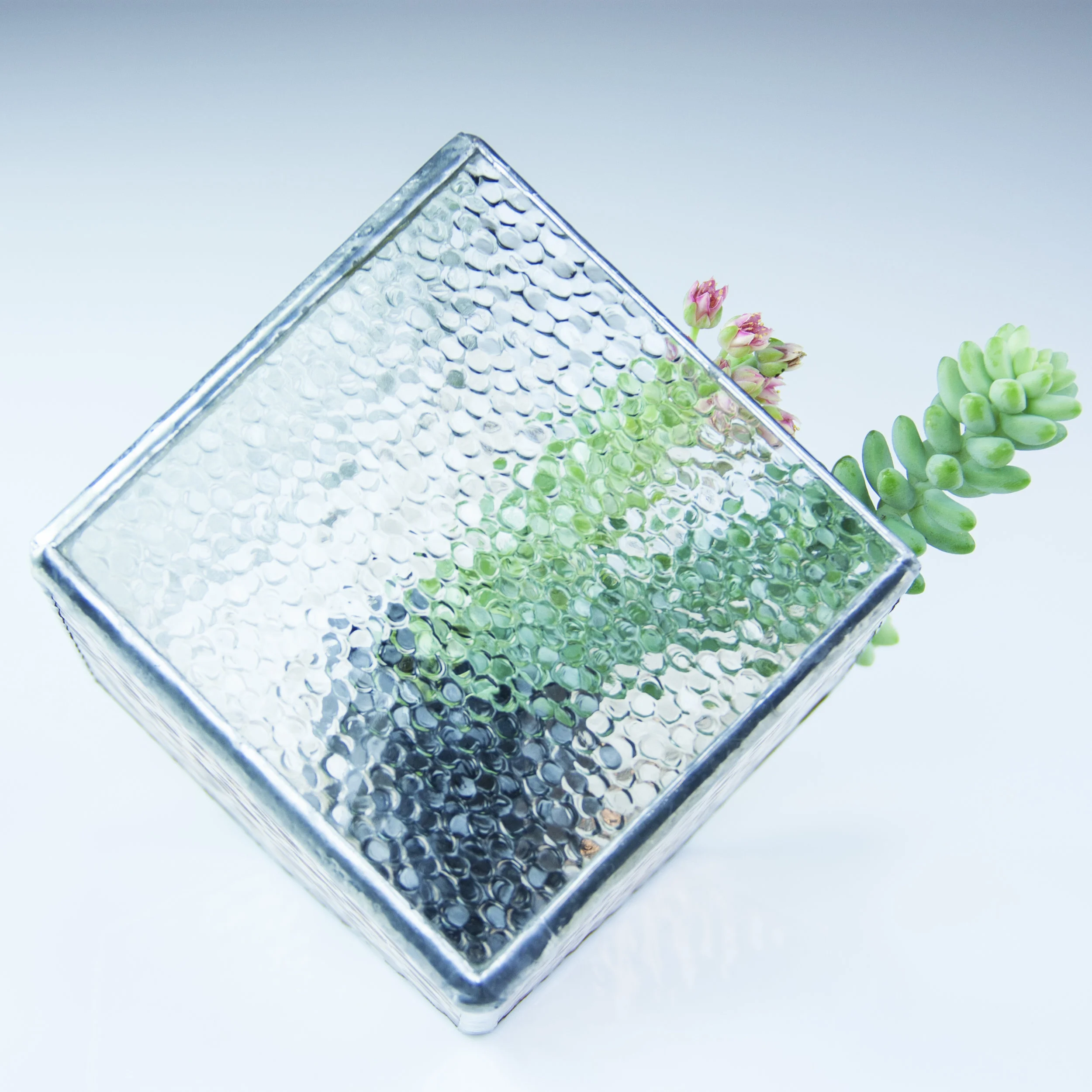 PeachTerrarium3.jpg