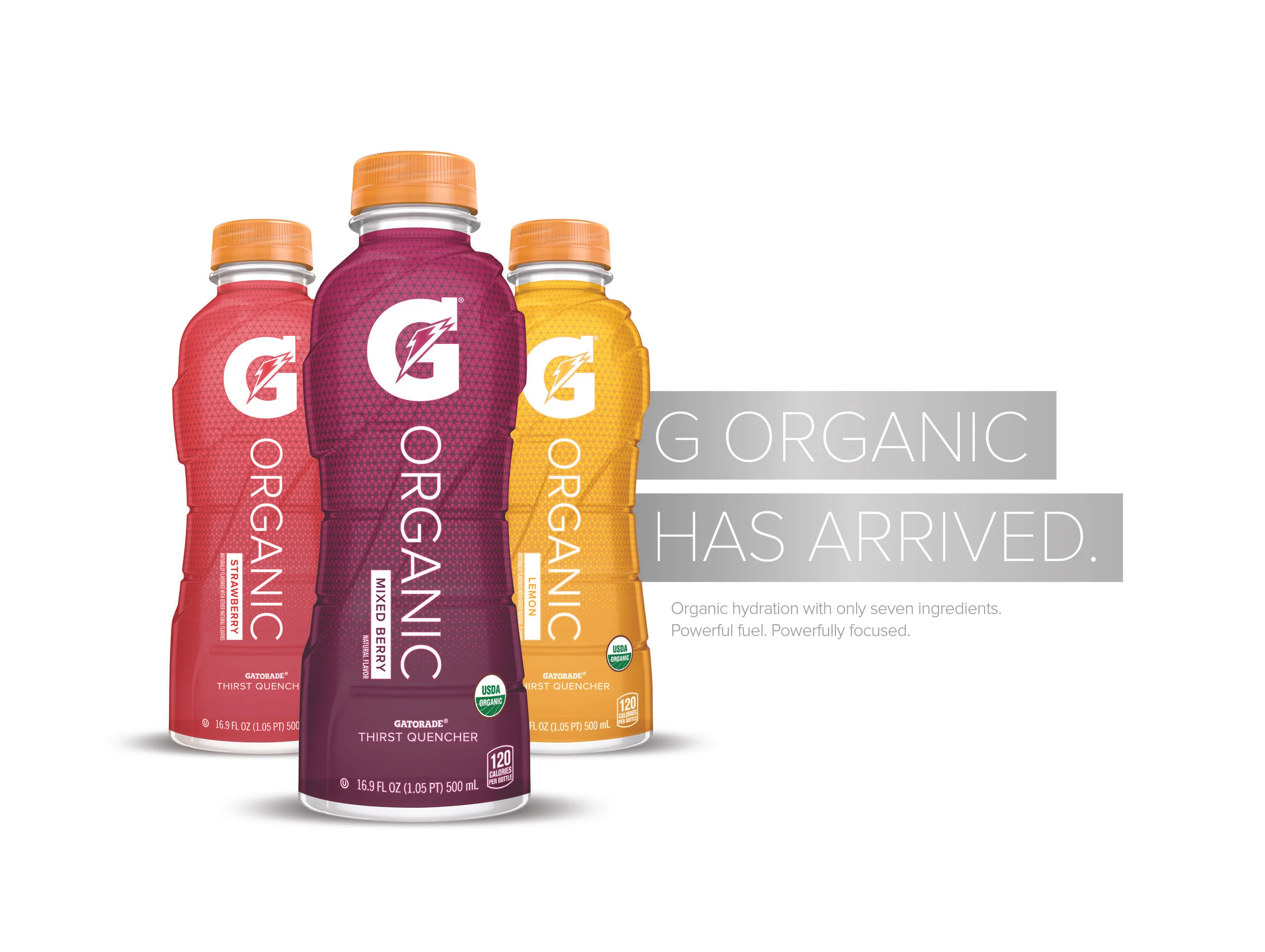 GAT16_403_901_HippieG_GOrganic_VisualCenterToolkit_ForPrint_r06_v05_nr11.jpg
