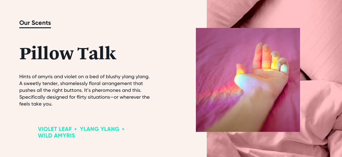Screen Shot 2019-01-15 at 11.34.46 AM.png