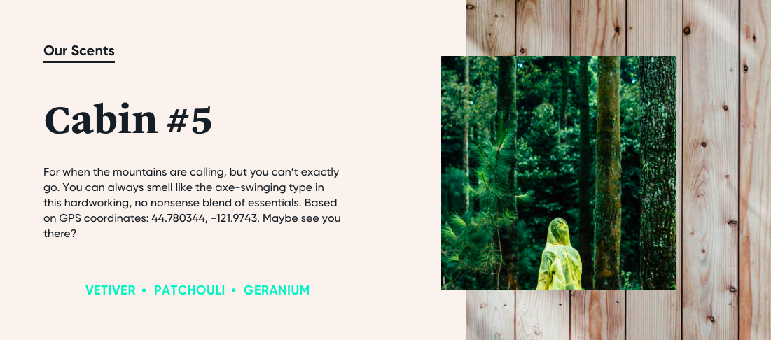 Screen Shot 2019-01-15 at 11.34.58 AM.png