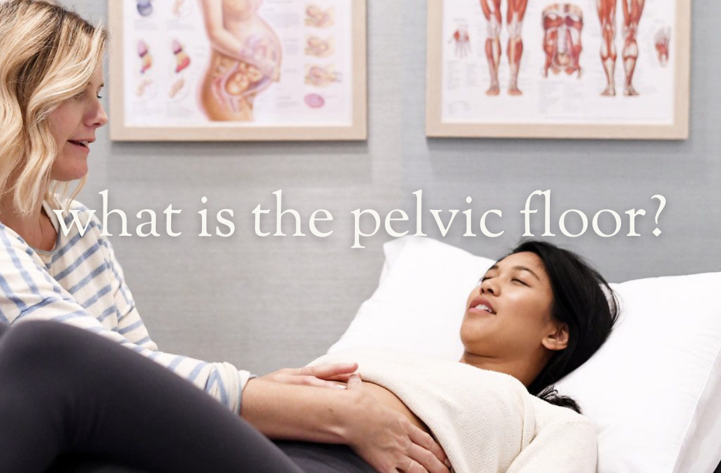 what is the pelvic floor? | free