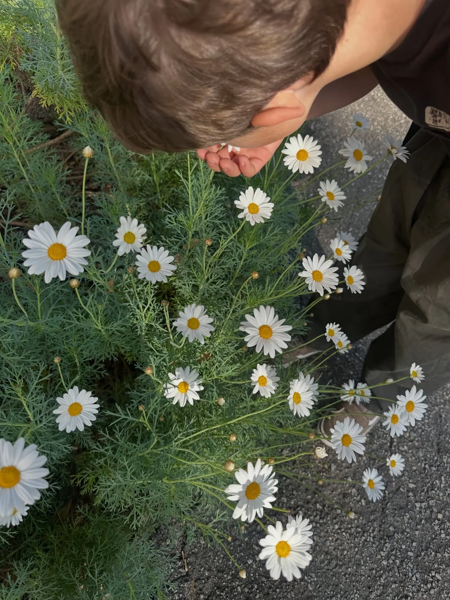 life lately&hellip;we&rsquo;re really trying to slow down and smell the &ldquo;roses&rdquo; as we navigate new beginnings and big transitions. &hearts;️&hearts;️&hearts;️