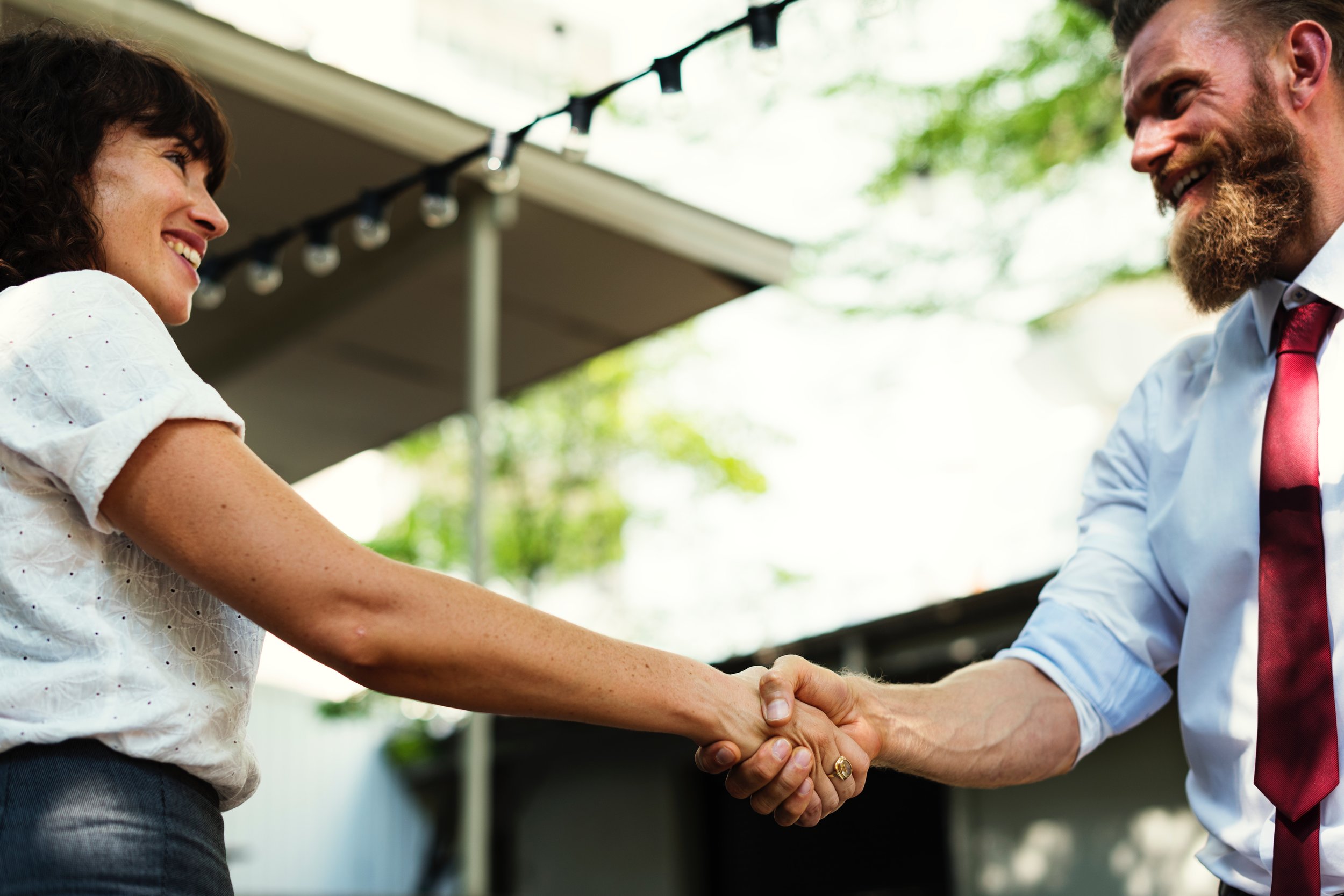 A model for excellence in nonprofit programs and services