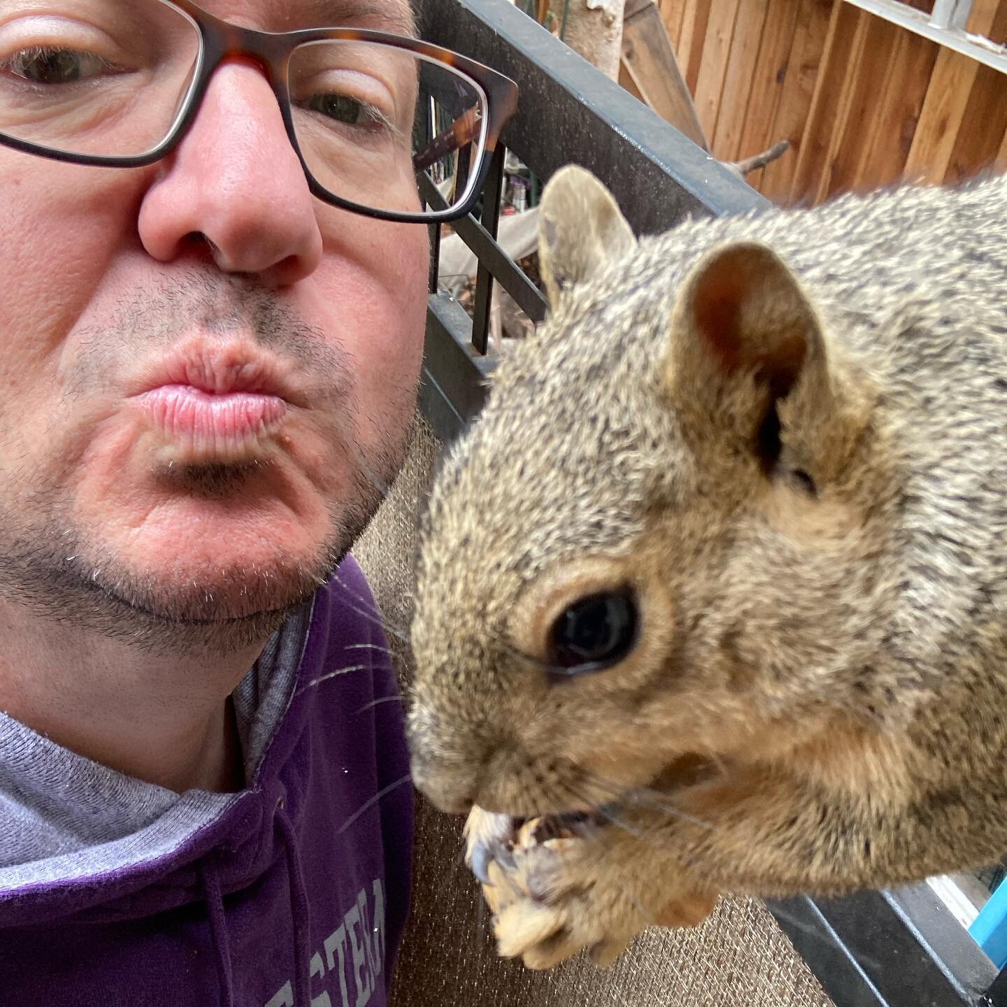 Happy Father&rsquo;s Day!
(Bucky&rsquo;s dad swung by early for a quick nut and selfie). 😬
#idyllwild 
#squirrels 
#squirrelfriends