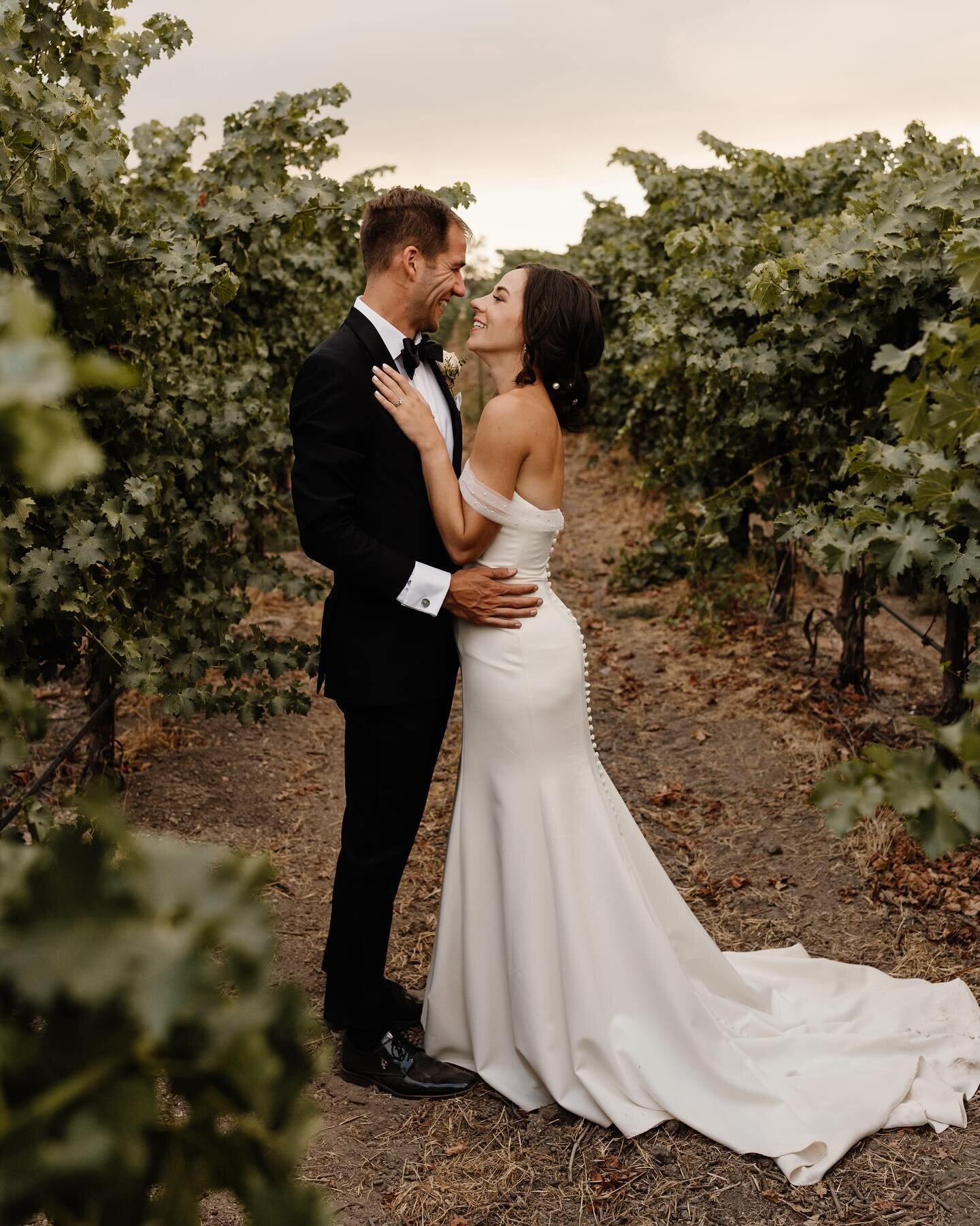 the way they look at each other with so much love🫶🏼

Photographer: @shannonhillyardphoto 
2nd photographer: @sierrawestphoto_ 
Coordinator: @perfectimingbydanettecastillo 
Makeup: @ccbeautymark 

#californiacoast #vineyardwedding #justmarried #cali