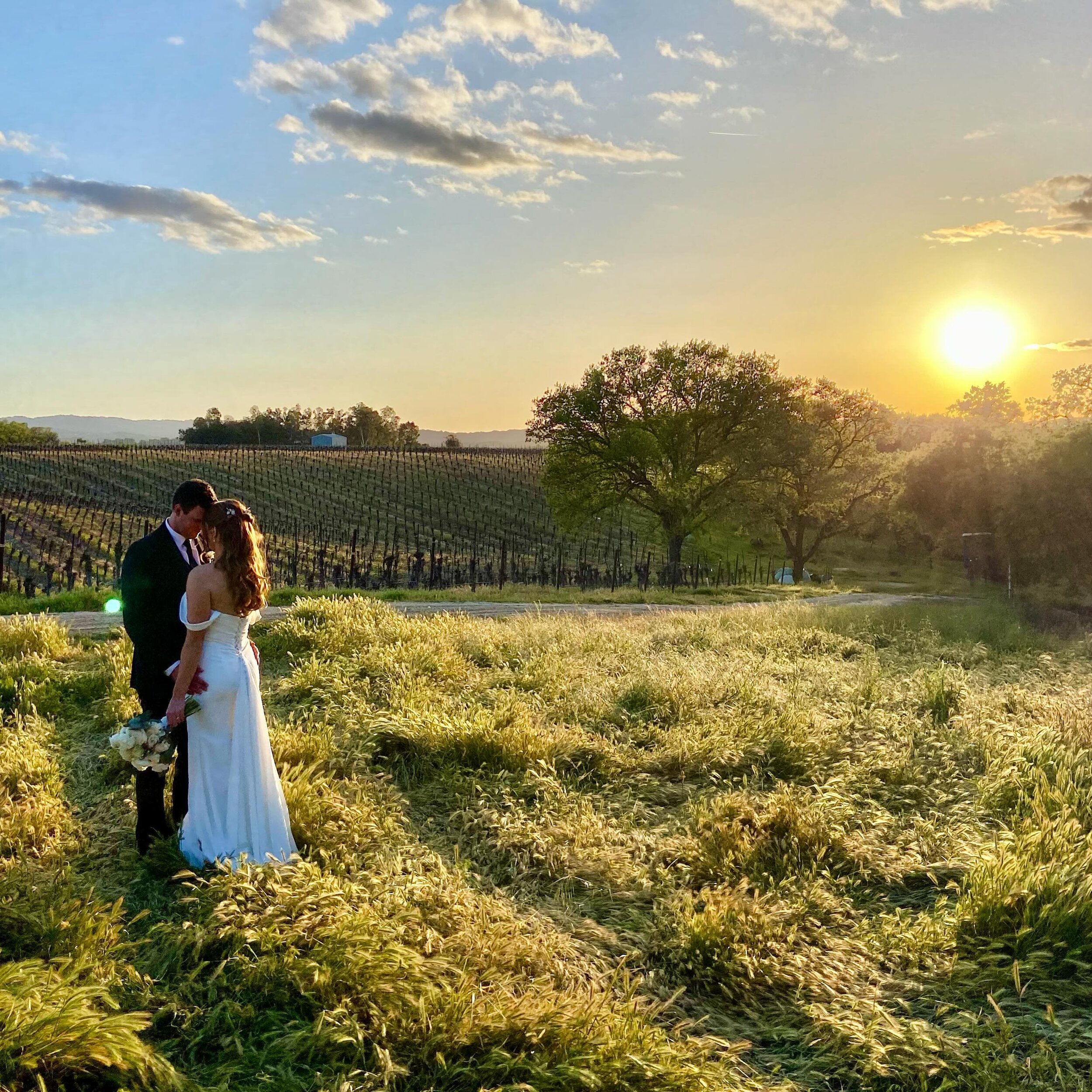 Such a wonderful first wedding of the season 🤍 With lots of rain &amp; wind &amp; even hail coming down on Friday, nothing could phase Tate + Jenna! But this gorgeous sunshine was warmly welcomed on Saturday evening ;) Congrats to the newlyweds - we
