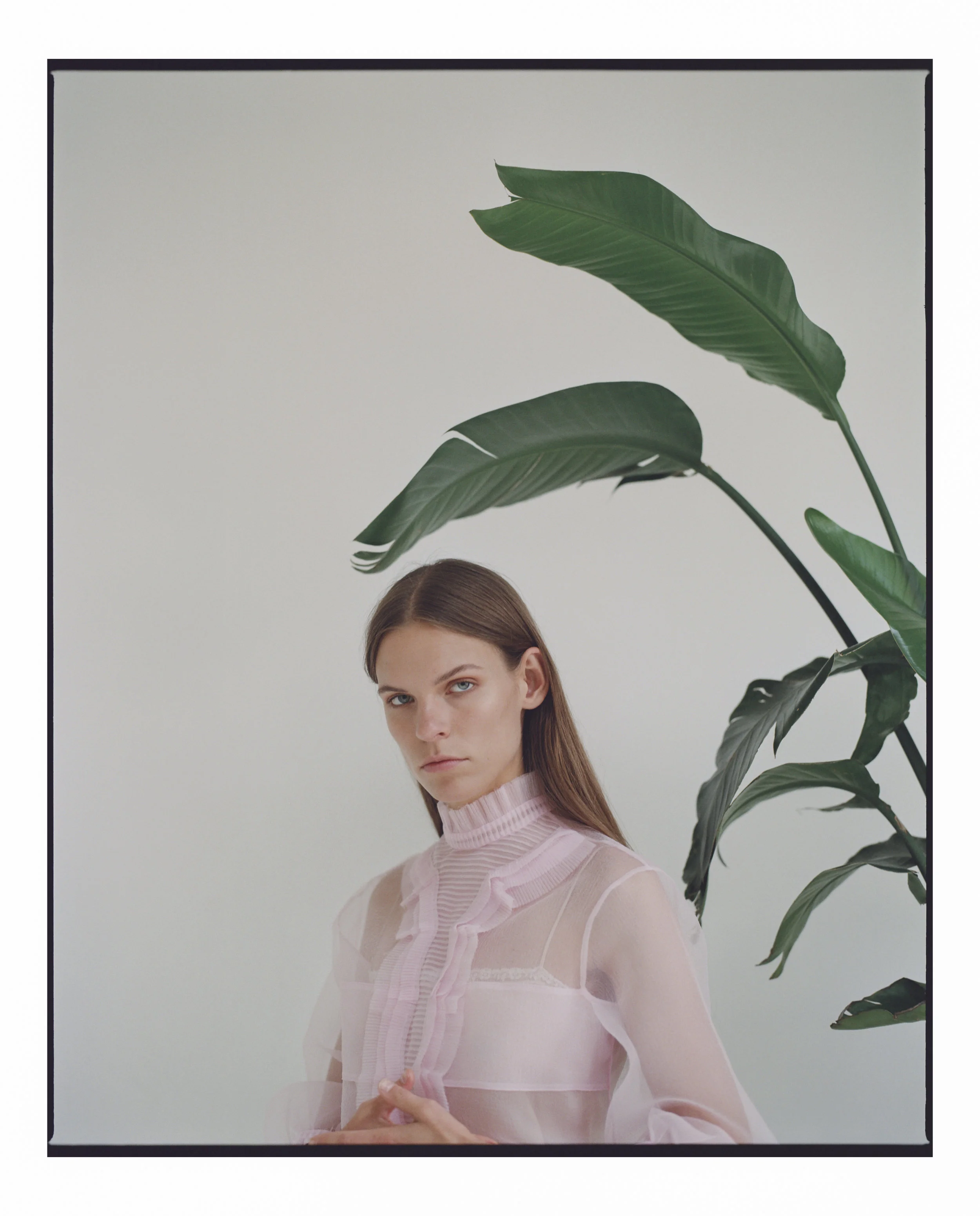 NYT_S4.jpg