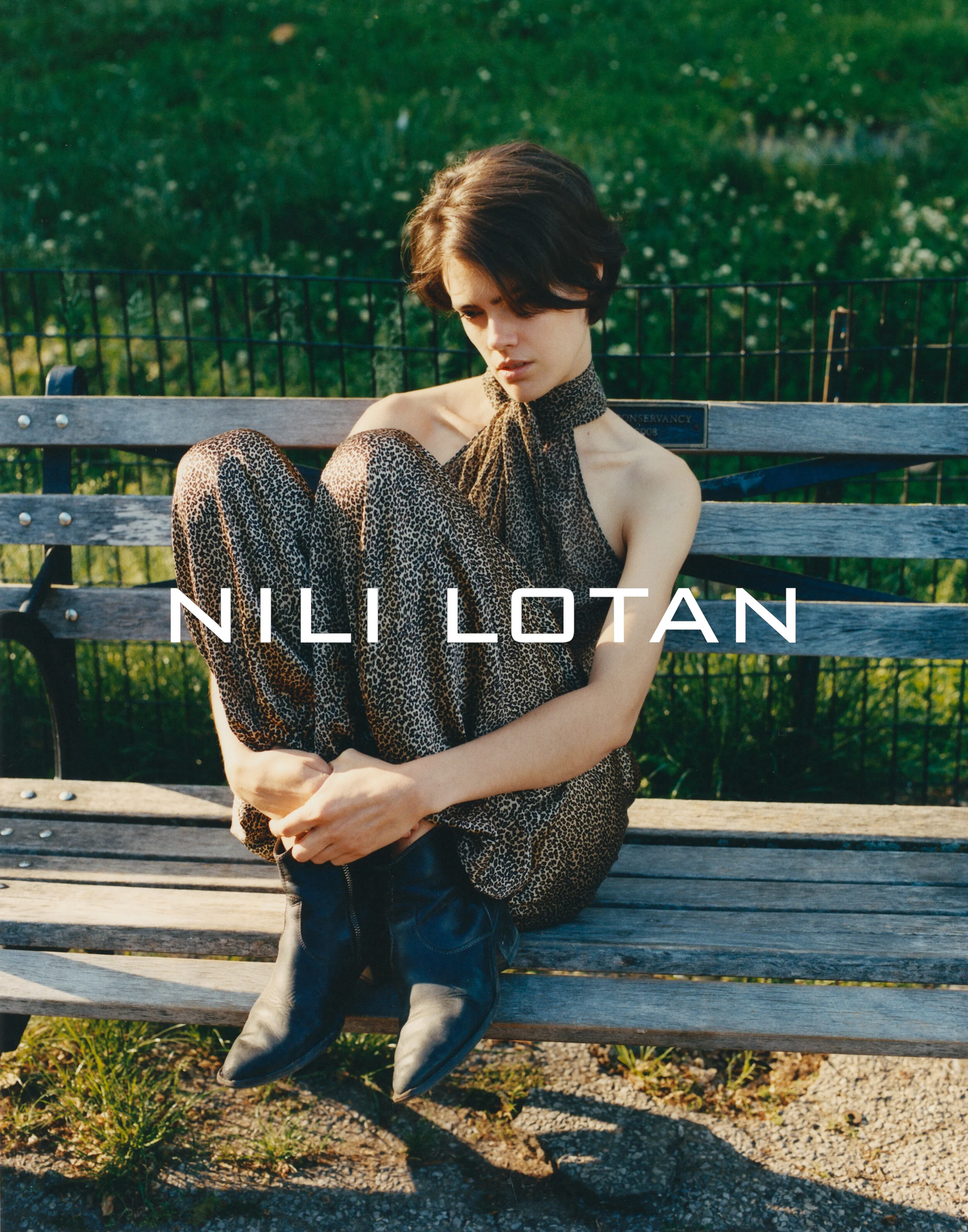 Taja_NiliLotan7.jpg