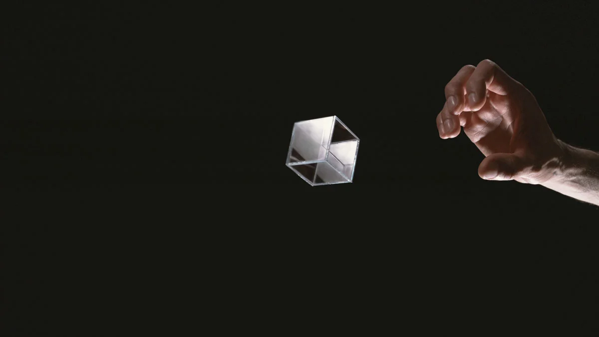 Sebastian Díaz Morales, The Lost Object (2016)