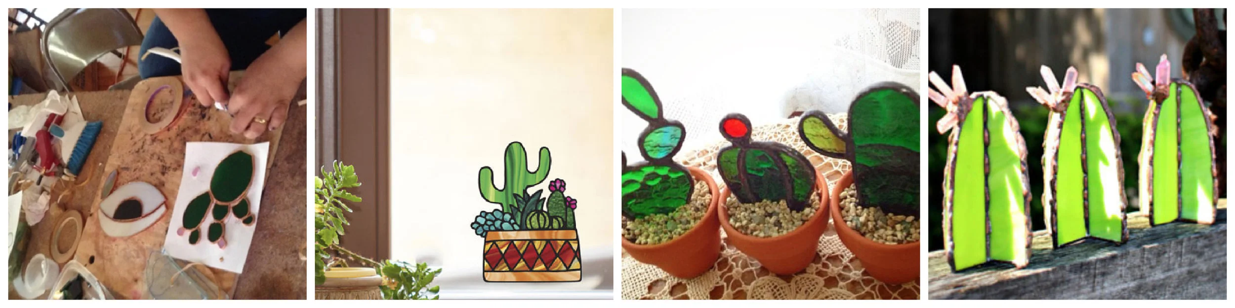 cacti collage.jpg