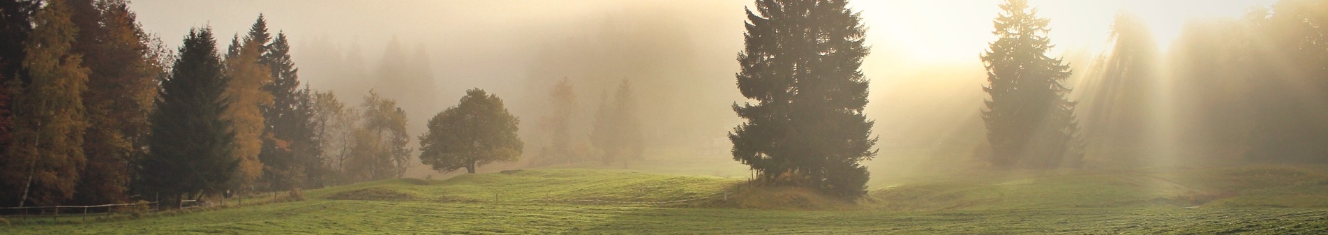 divine-light-1296353_1920.jpg