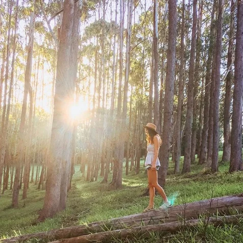 LIV ON AN ADVENTURE OUT IN THE BYRON HINTERLAND.