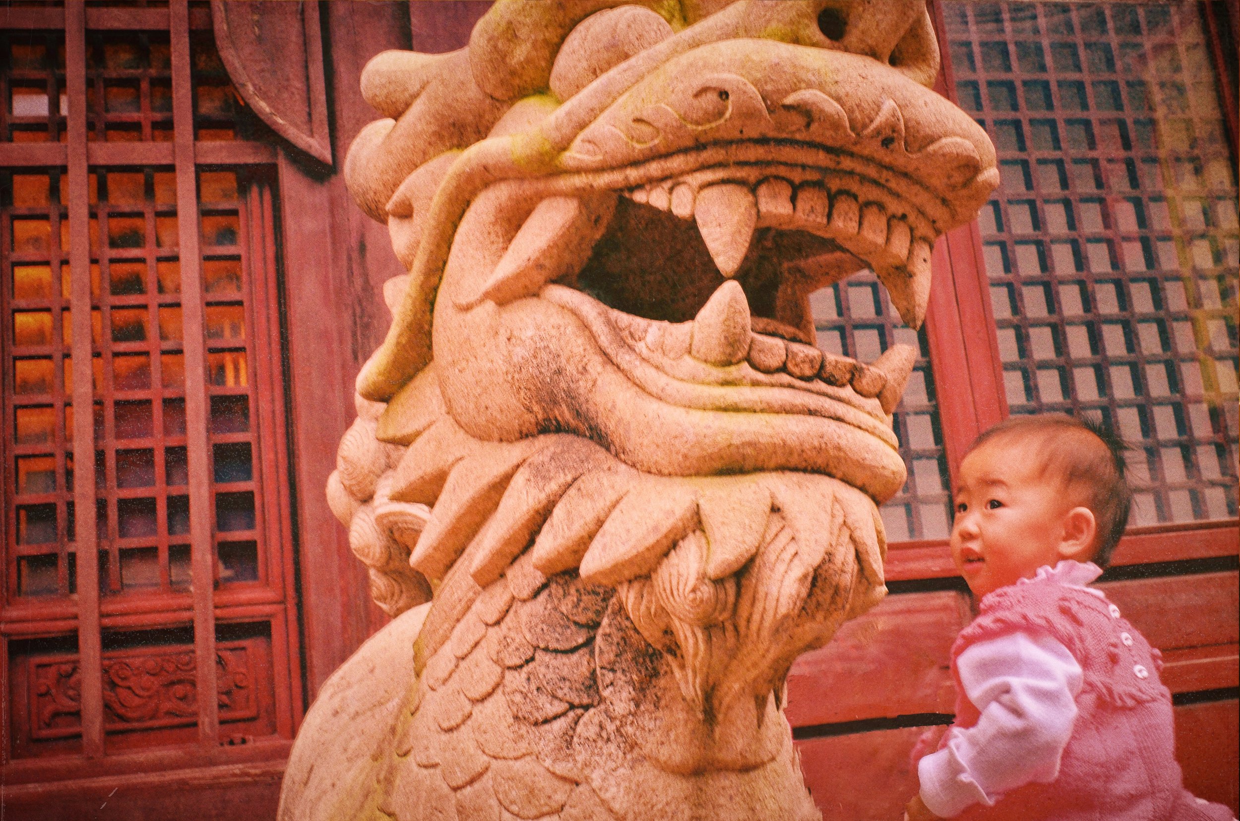 "BABY DRAGON"