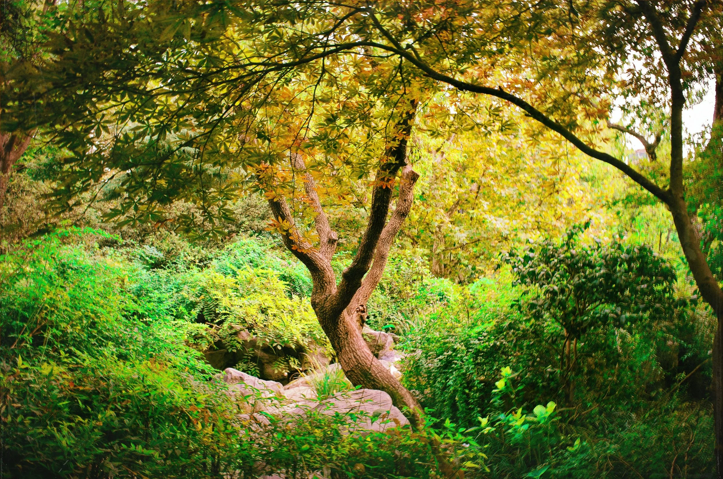 "GREENS 1"