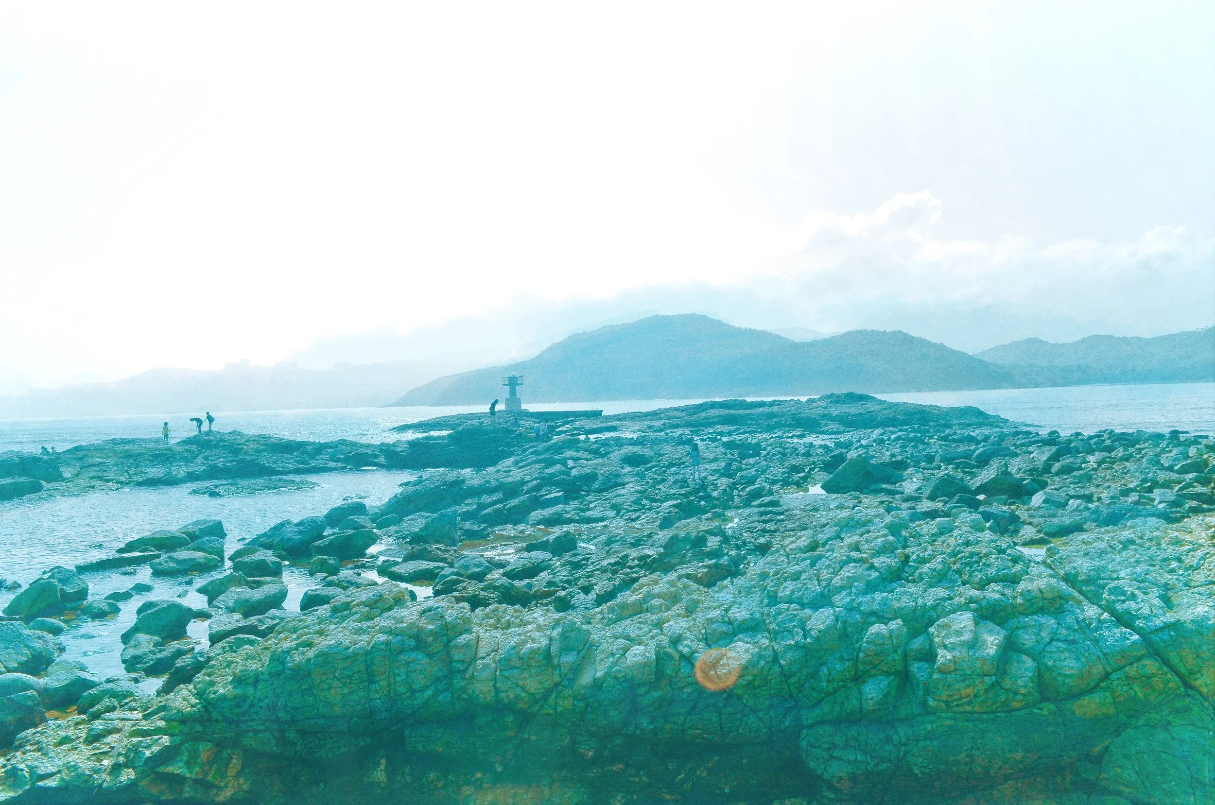 "SHARP ISLAND WANDERS 2"