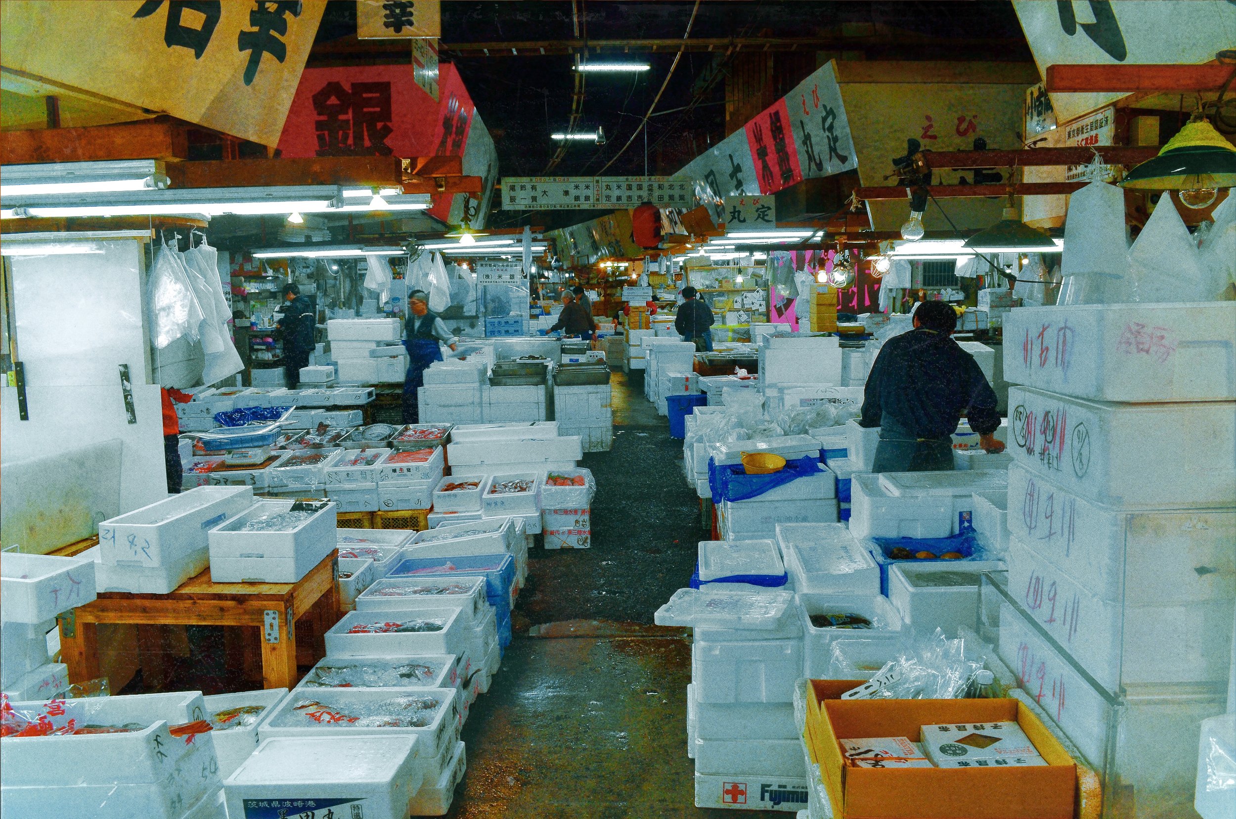 "TSUKIJI 1"