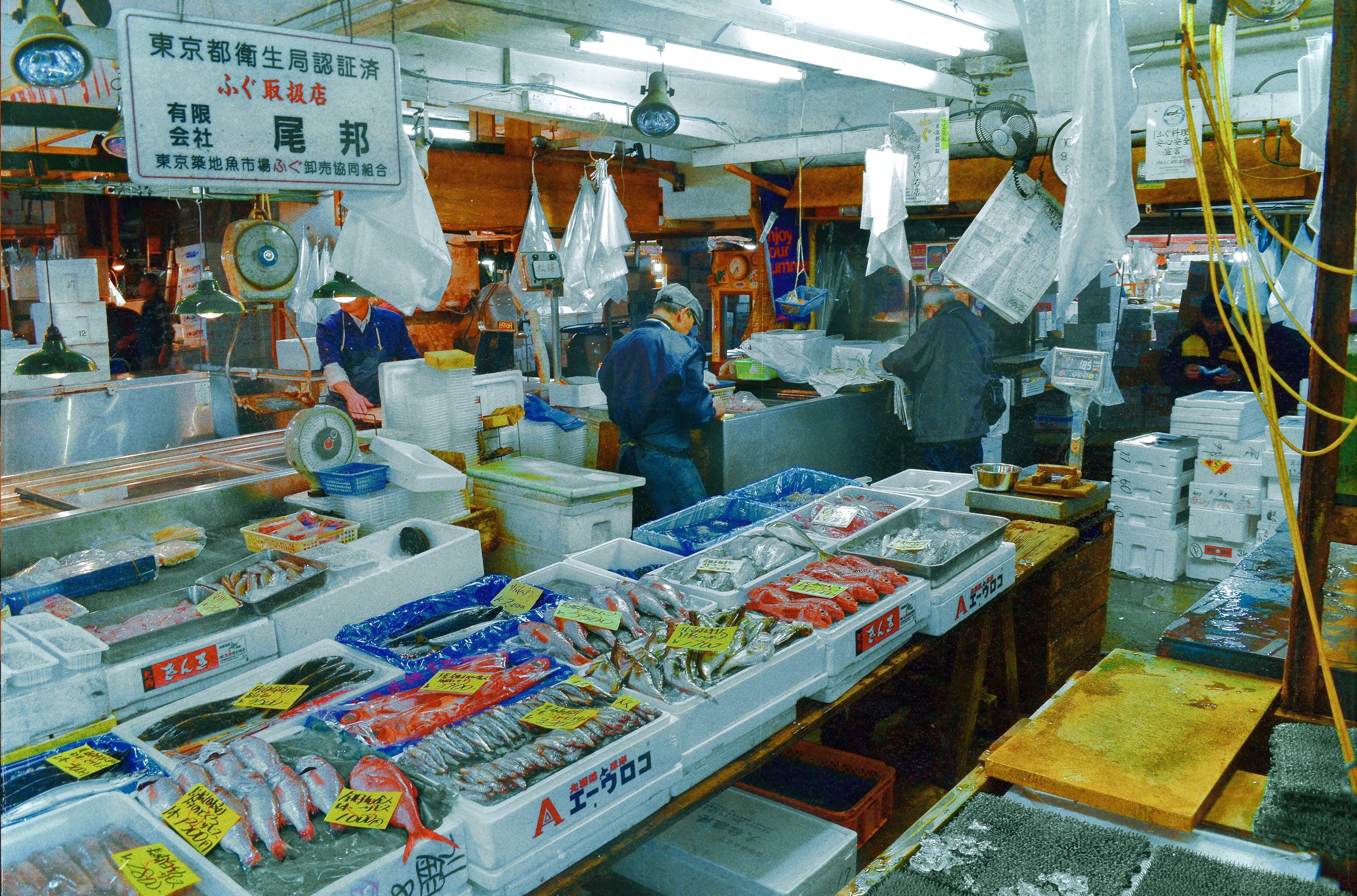 "TSUKIJI 2"