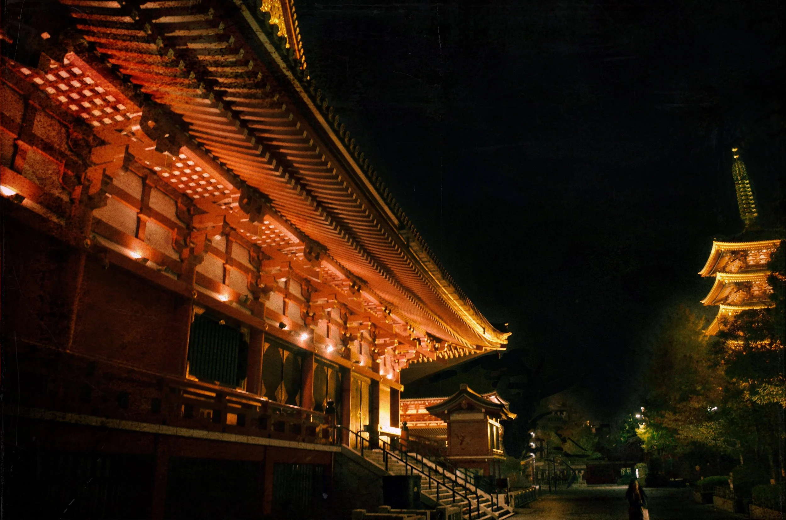 "NIGHTS IN ASAKUSA"