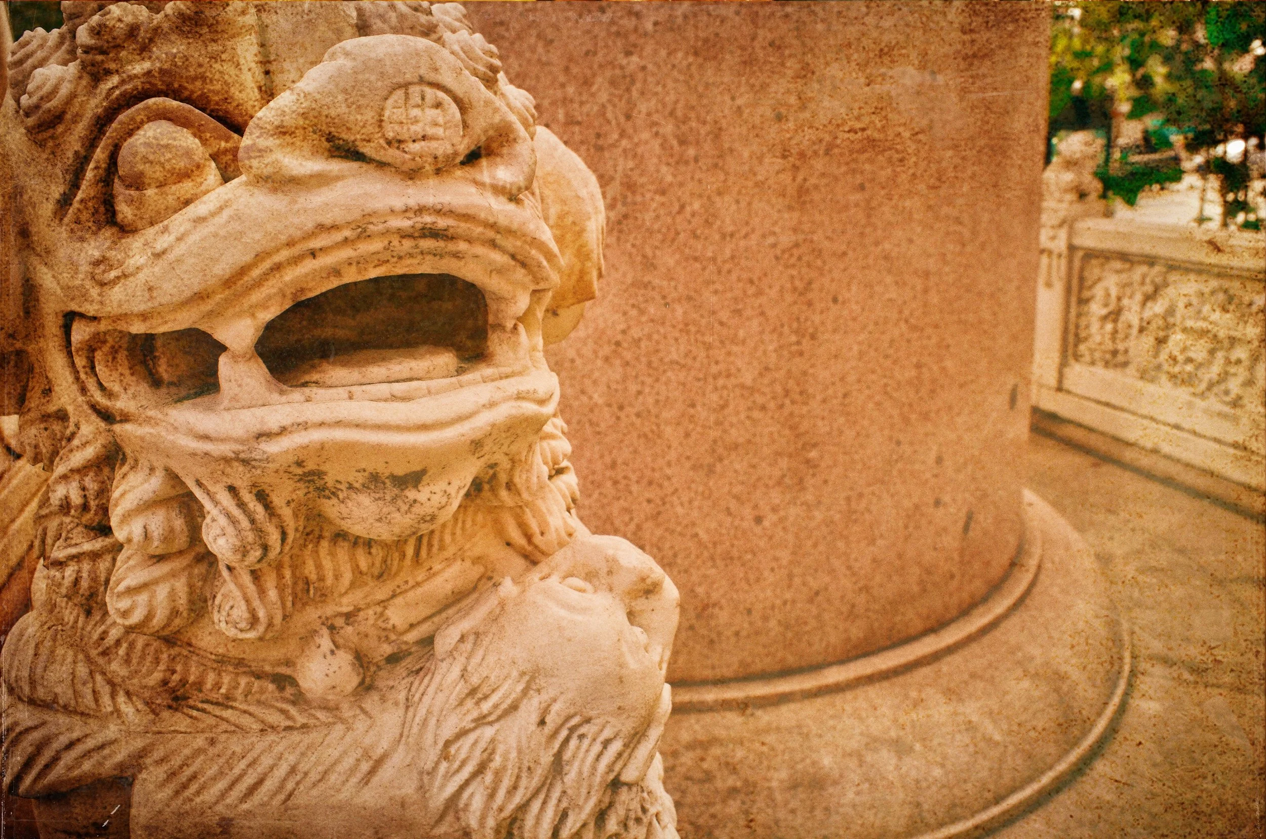"SMILE: SMALL FOO DOG"