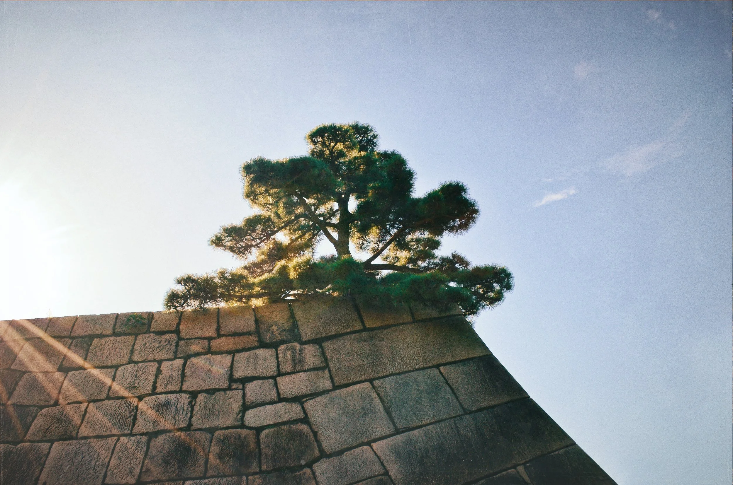 "IMPERIAL FORTRESS: SOLIT(A)REE"