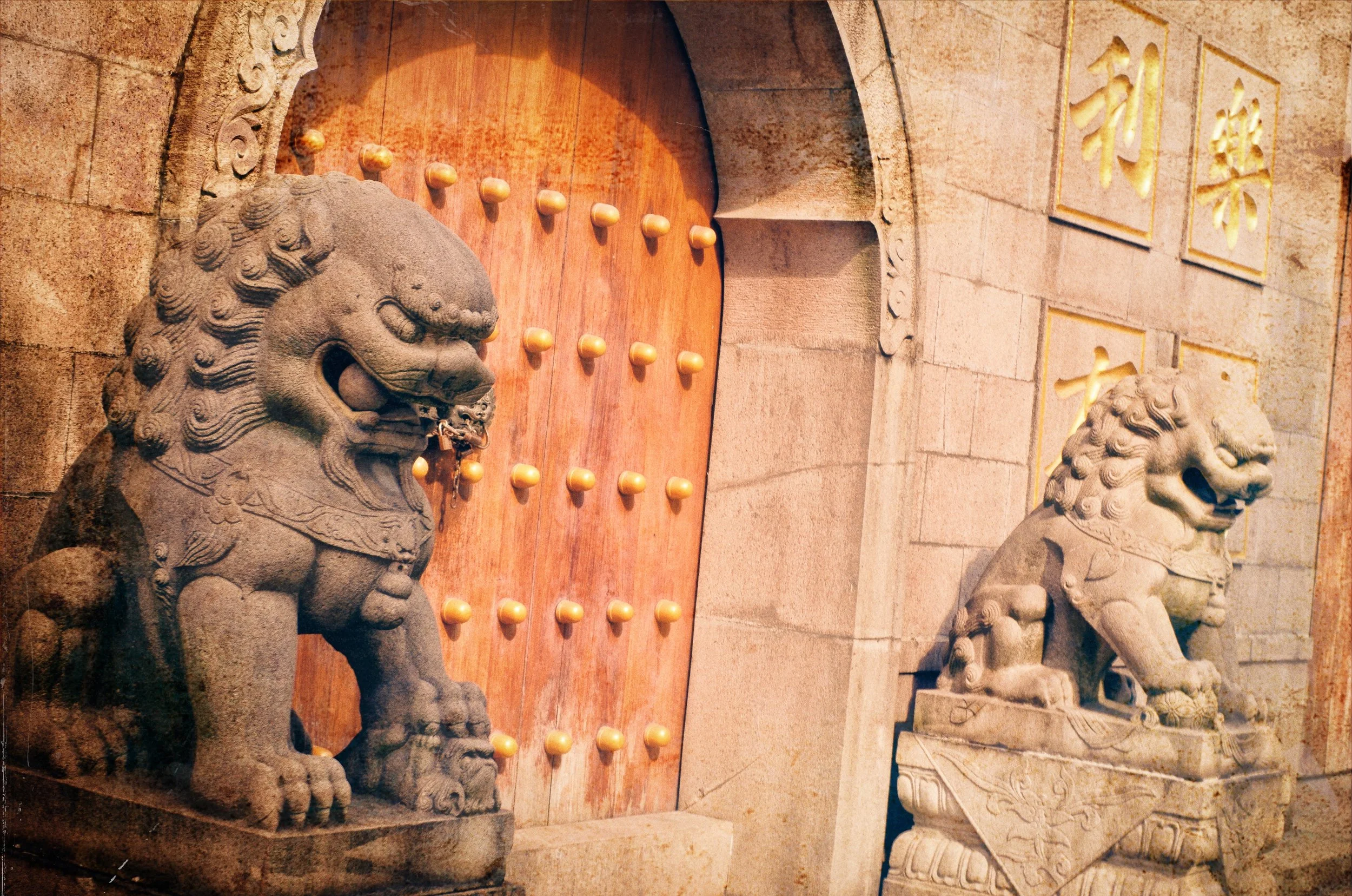 "FOO DOGS"