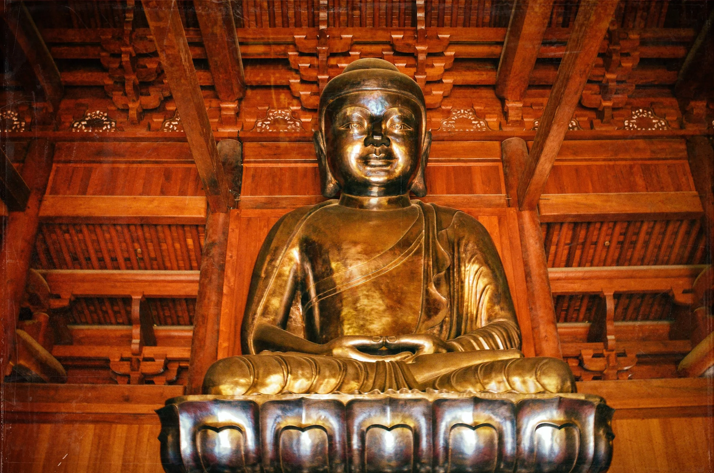 "medium-BUTSU"