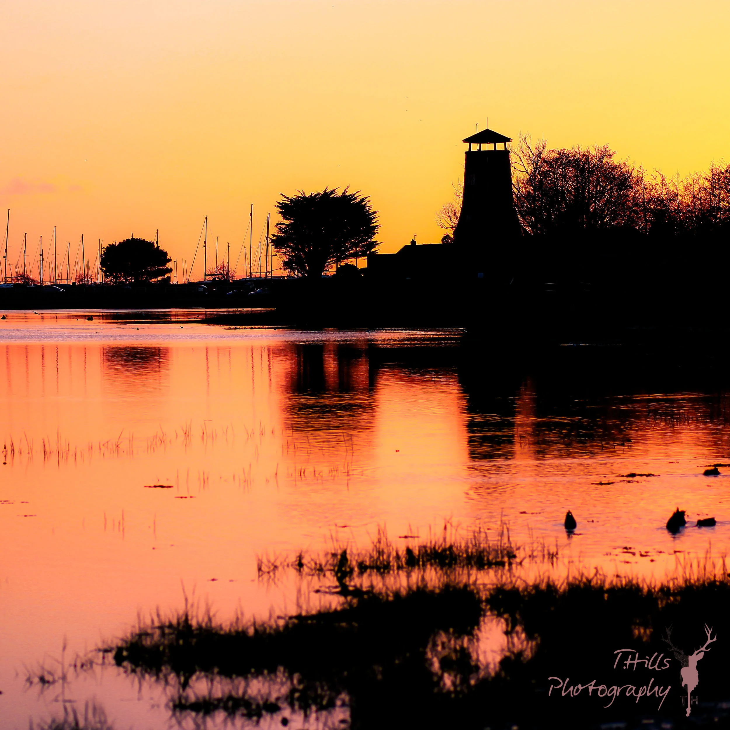 sunset tower.jpg