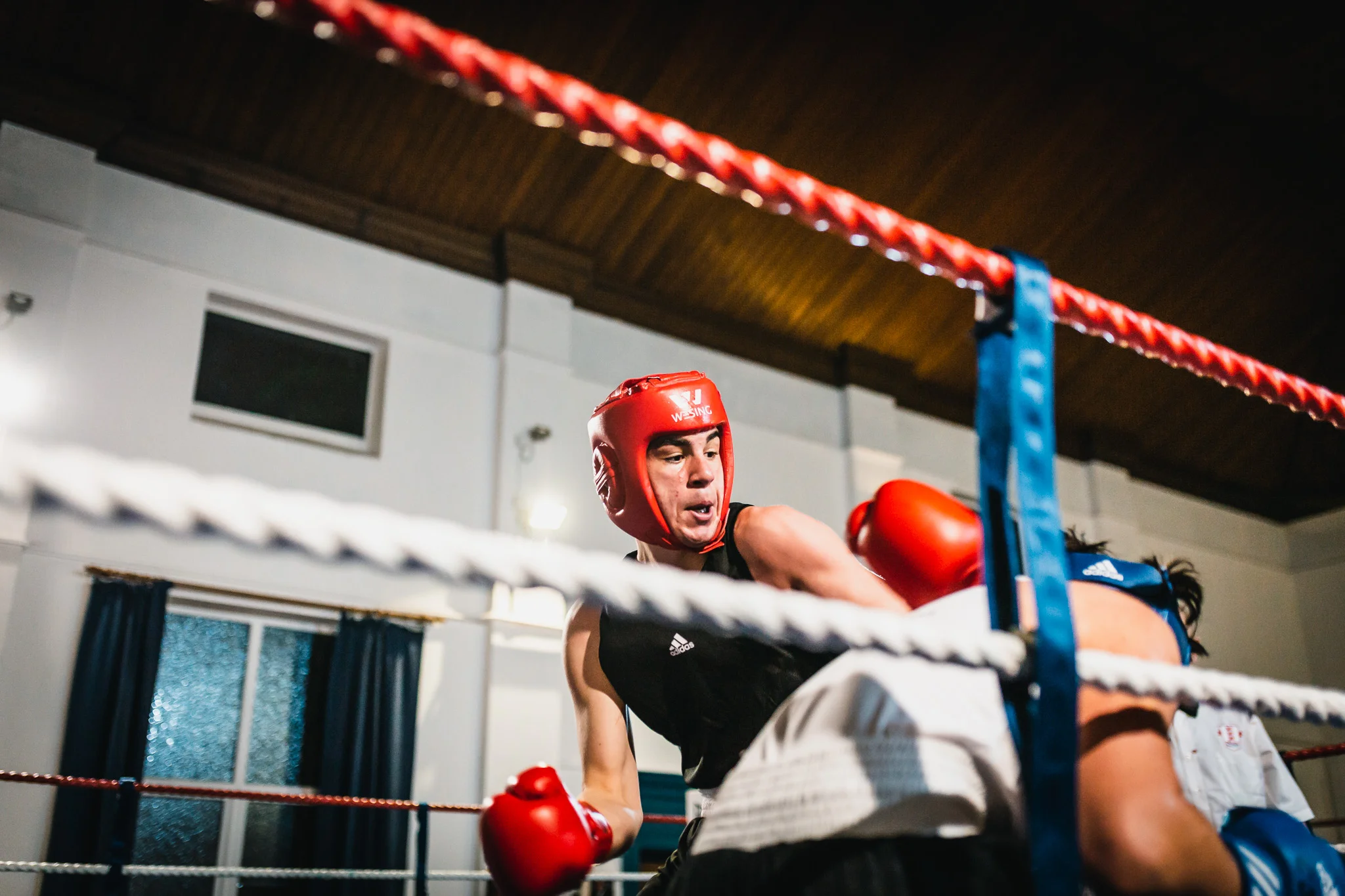boxingweb (5 of 13).jpg