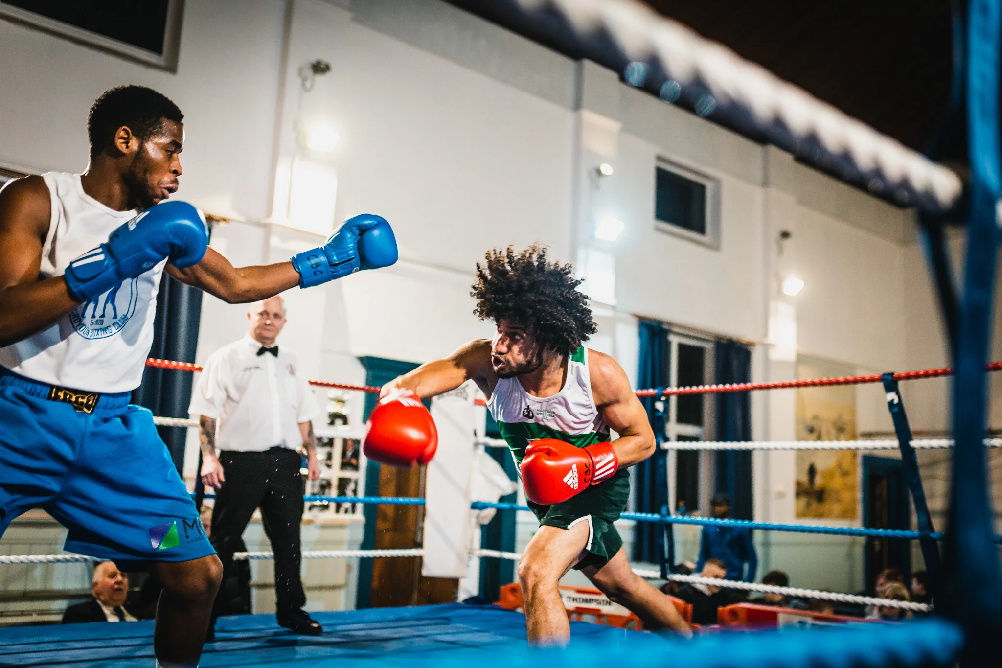 boxingweb (11 of 13).jpg