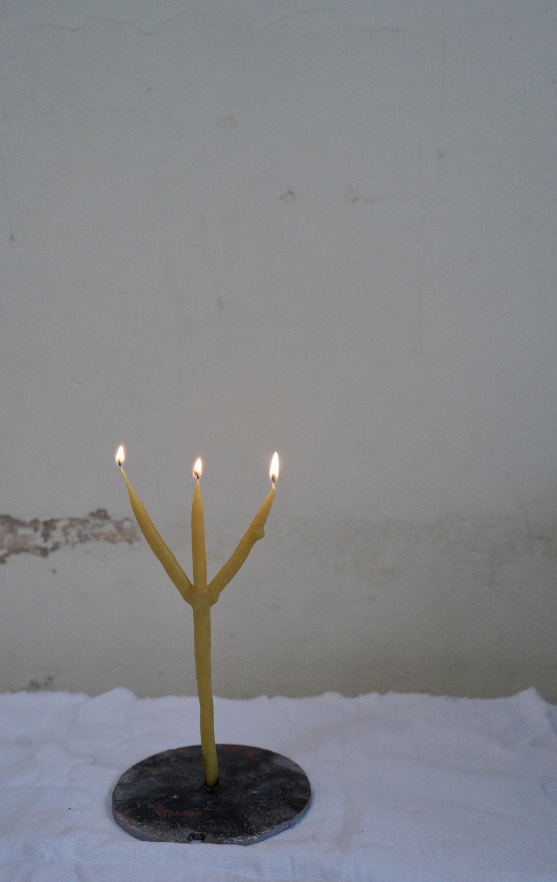 DSC04872.jpeg
