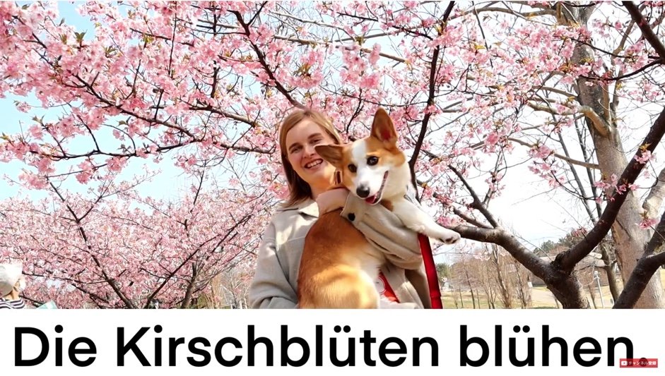 ドイツ語で簡単なフレーズ Maxieは累計約0人以上の生徒さんへのドイツ語指導経験があります