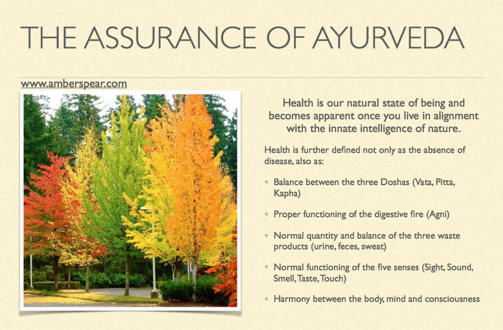 the assurance of ayurveda amberspear.com.png