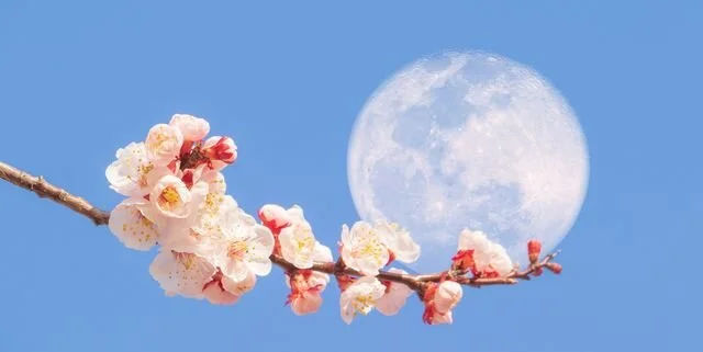 ONLINE Full Moon Yoga - Freedom Practice