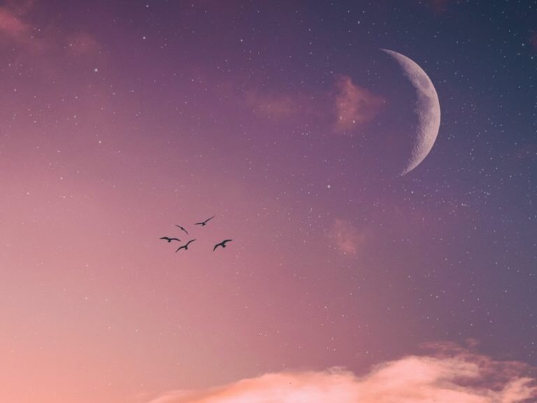 ONLINE New Moon Sacred Commune Practice, for Women