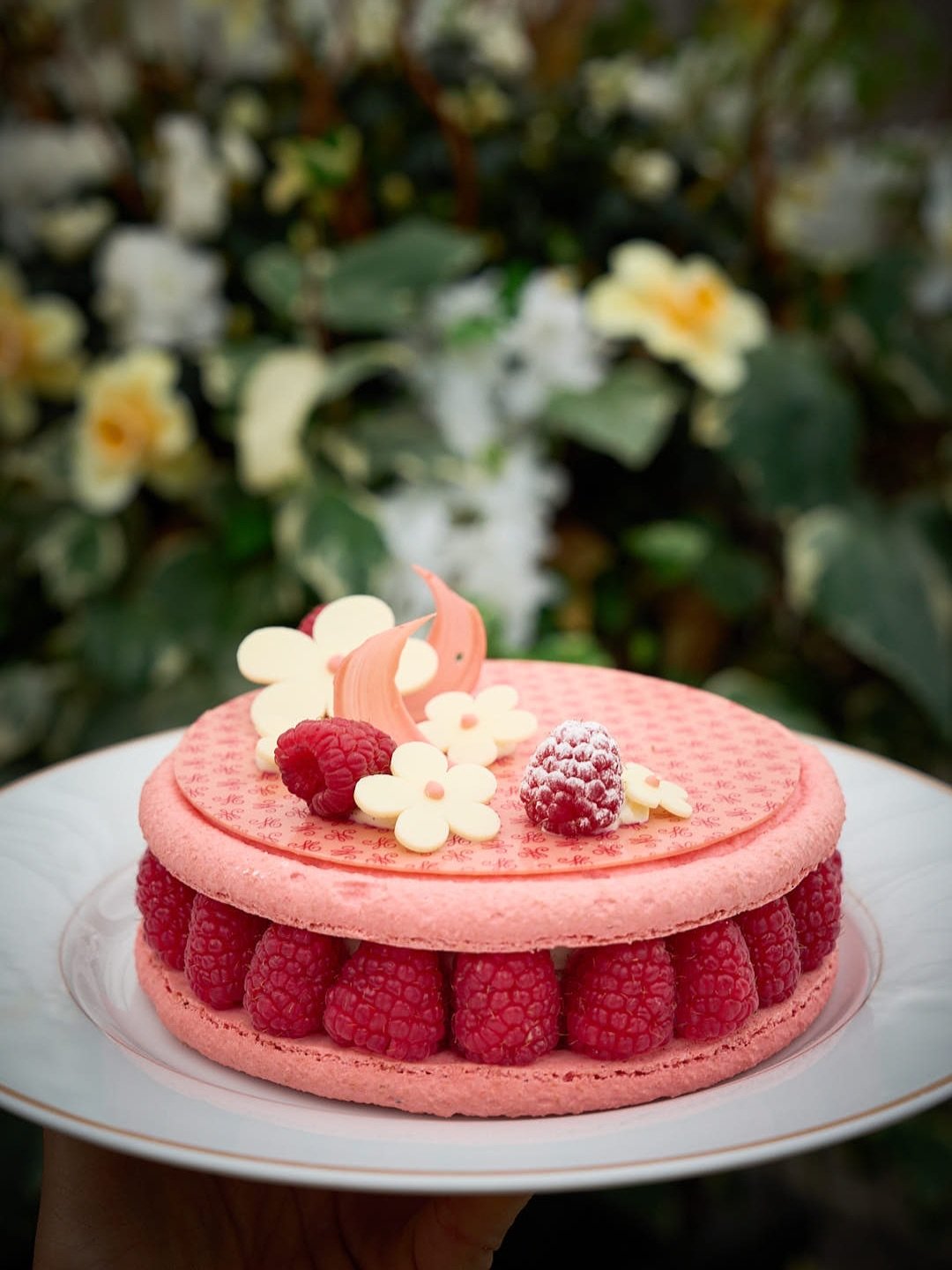 LA F&Ecirc;TE DES M&Egrave;RES AVEC M&Eacute;ERT 🩷 🌸

&Agrave; l&rsquo;occasion de la f&ecirc;te des m&egrave;res, @meert_1677 d&eacute;ploie une collection pens&eacute;e comme une variation autour de la douceur et du souvenir.

Entremets aux p&eac
