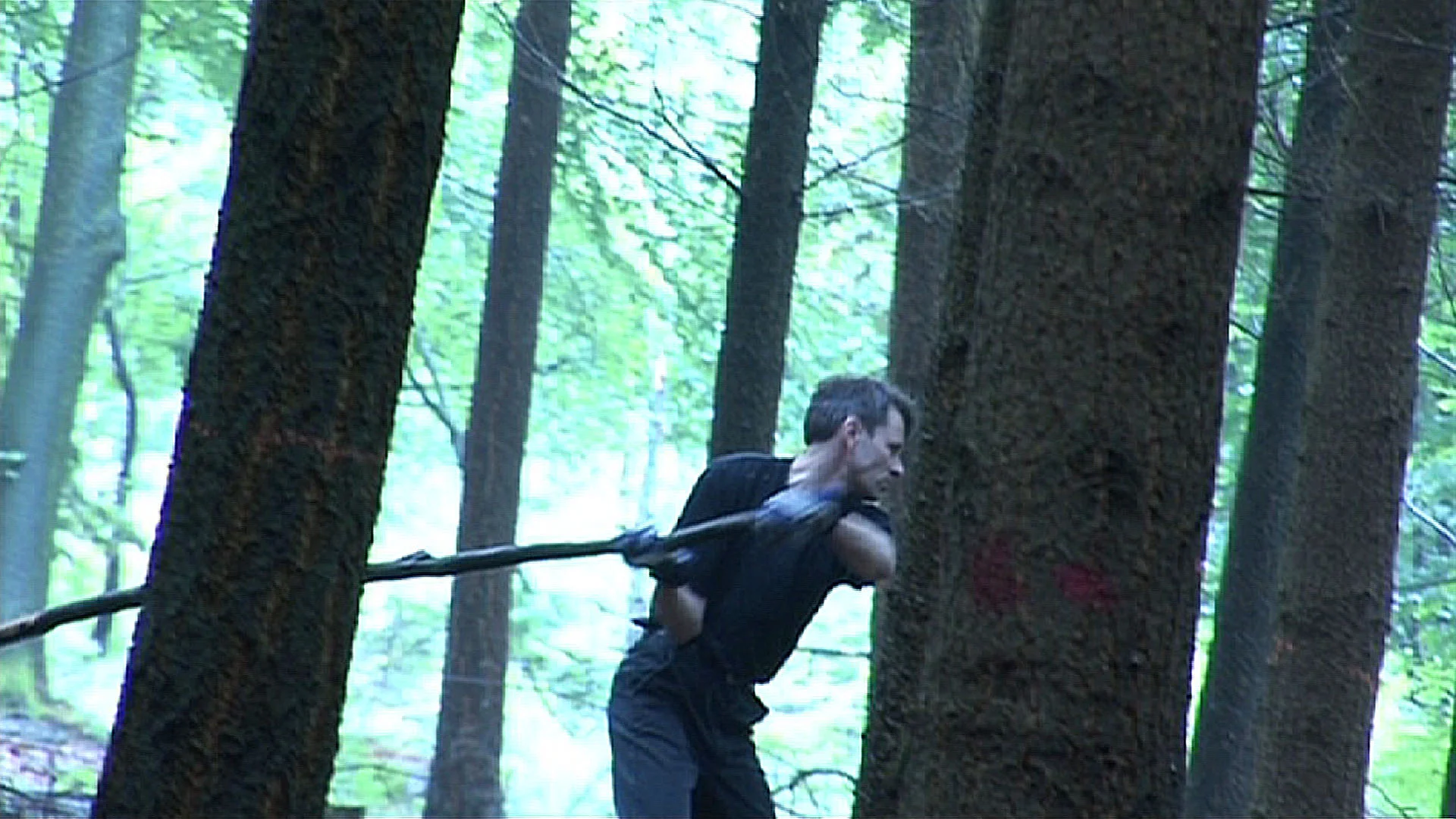 preparedforesttake1.jpg