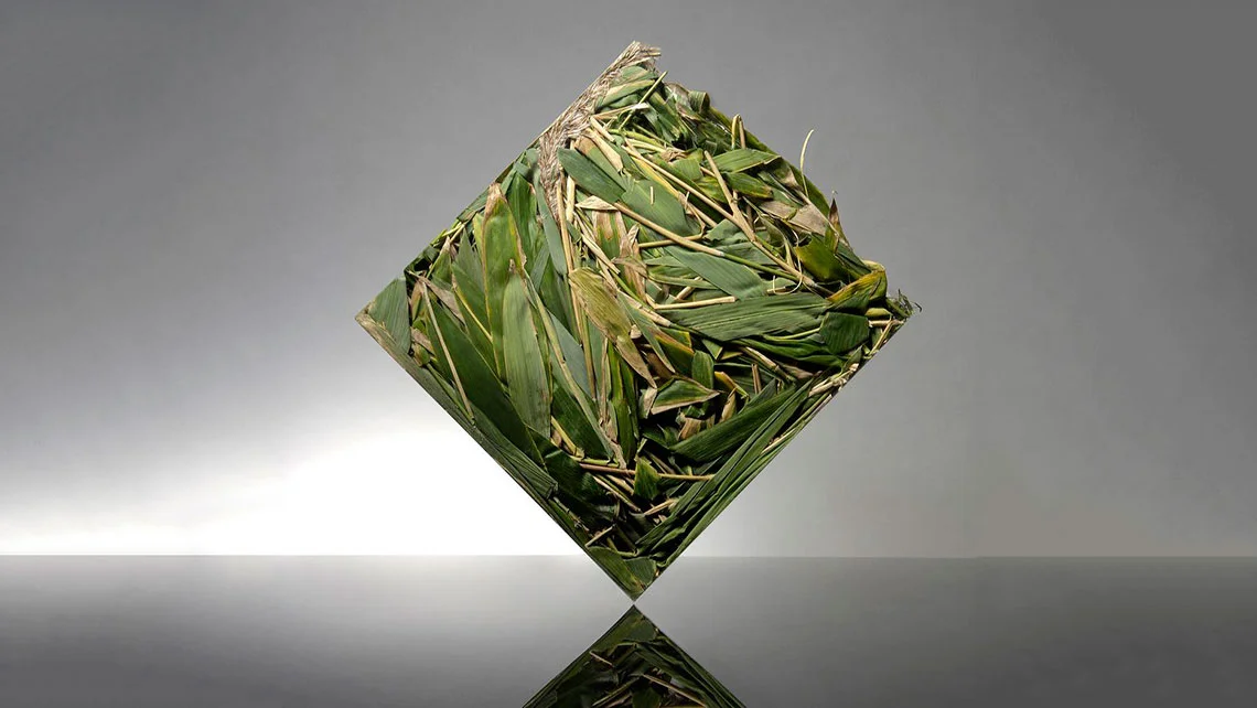 cover-image_biomass-full2.jpg
