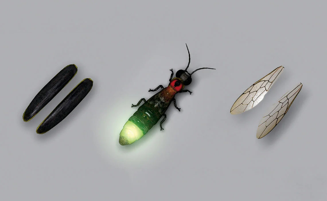 firefly-full.jpg