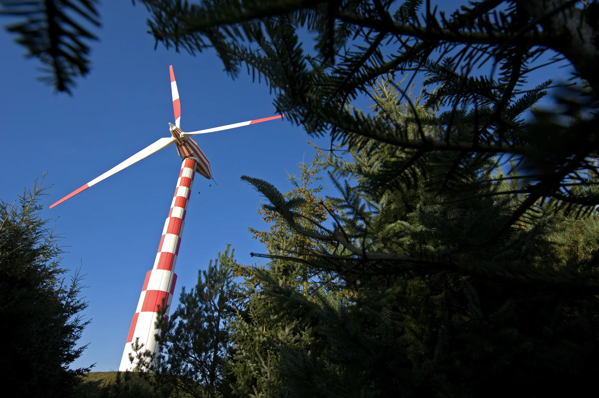 The world's first megawatt wind turbine at Tvind (Denmark) was built from 1975 onwards by hippie teachers as a protest against plans for nuclear power. Now crows find nesting space inside the rusted turbine head.