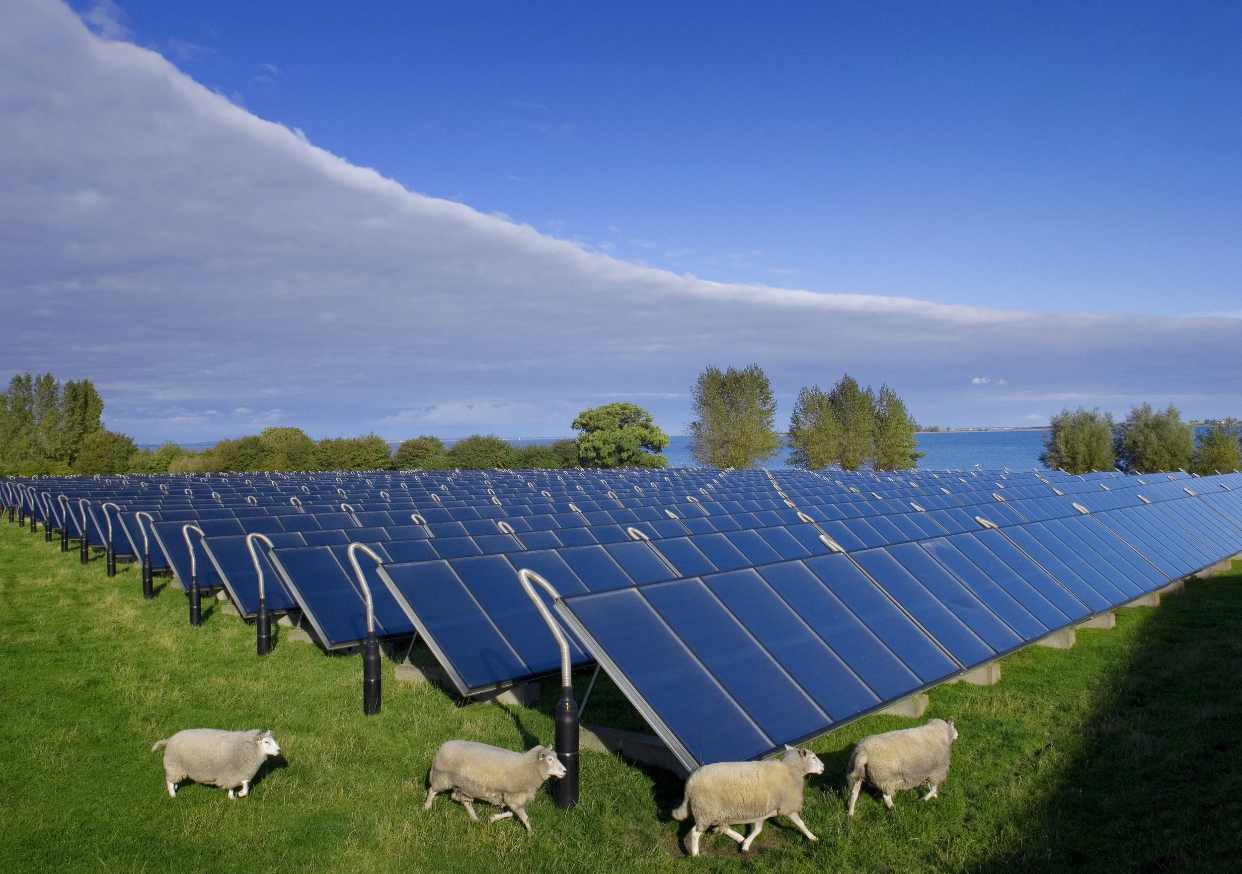 Ærø is situated in the southern archipelago of Denmark, Northern Europe and has for the past 30 years worked actively to encourage the use of renewable sources. Ærø has the world's largest solar power plants, with an area of 18,365 m2. It provides a…