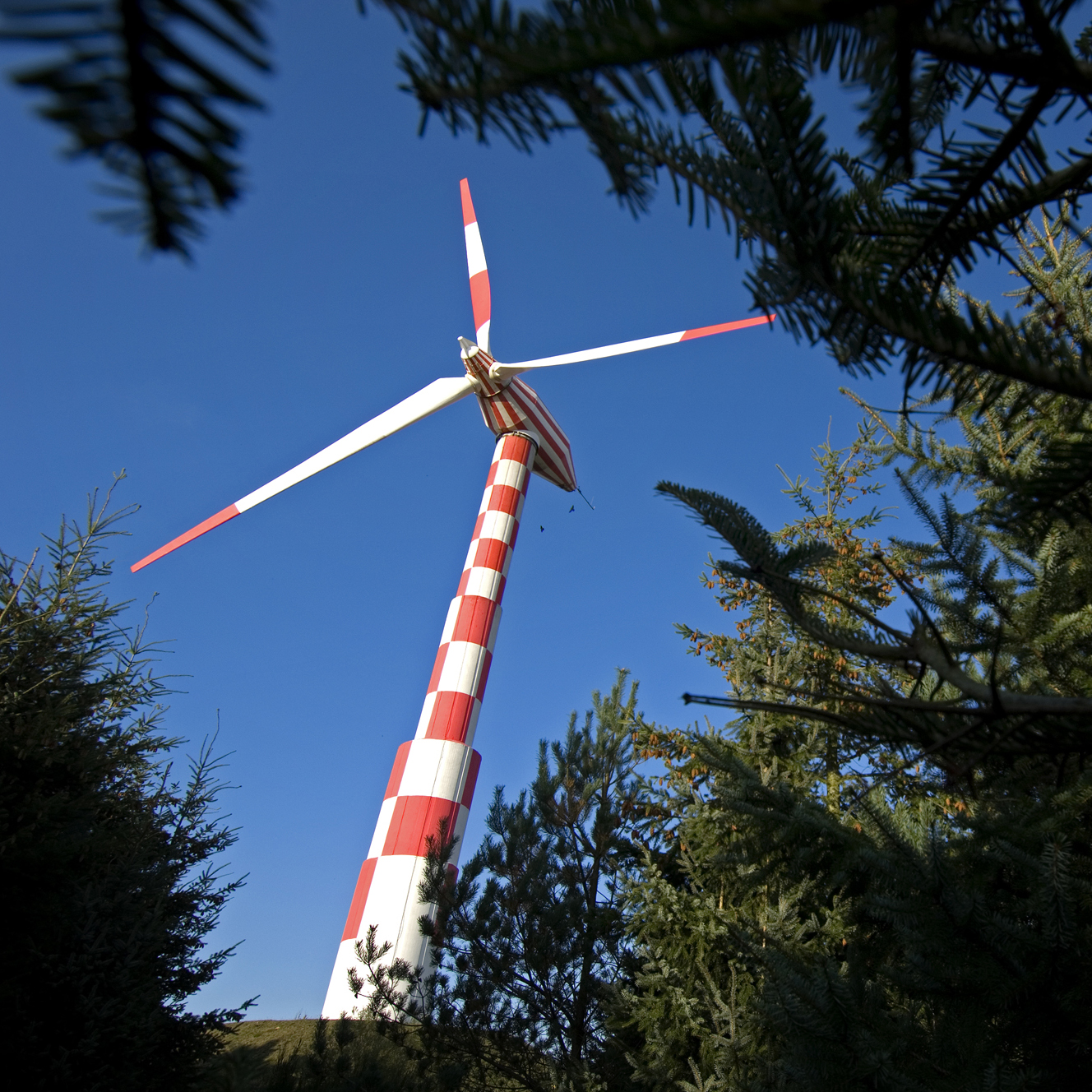 scm22604_vestas3281SQ.jpg