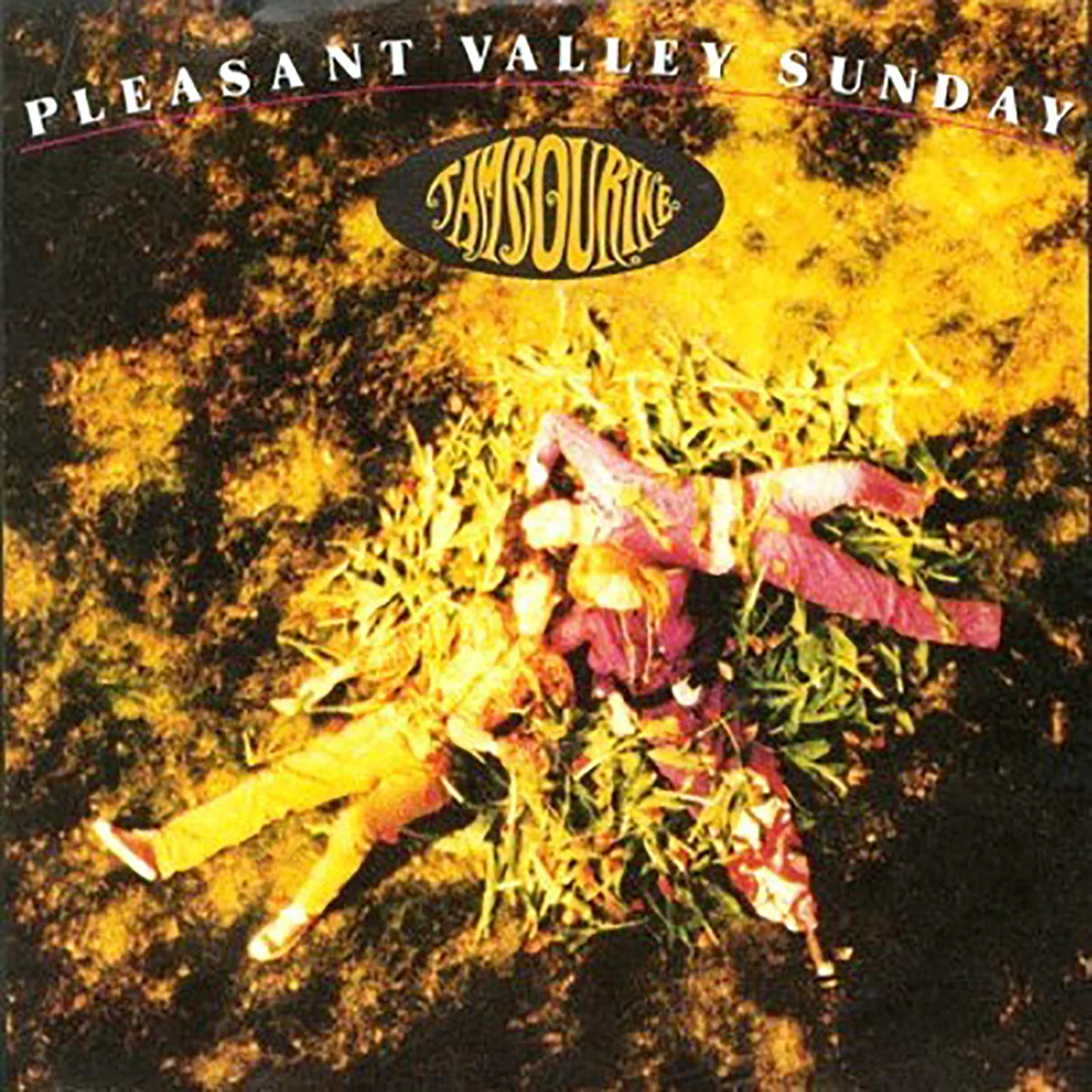 Pleasant Valley Sunday / Tambourine / 1989