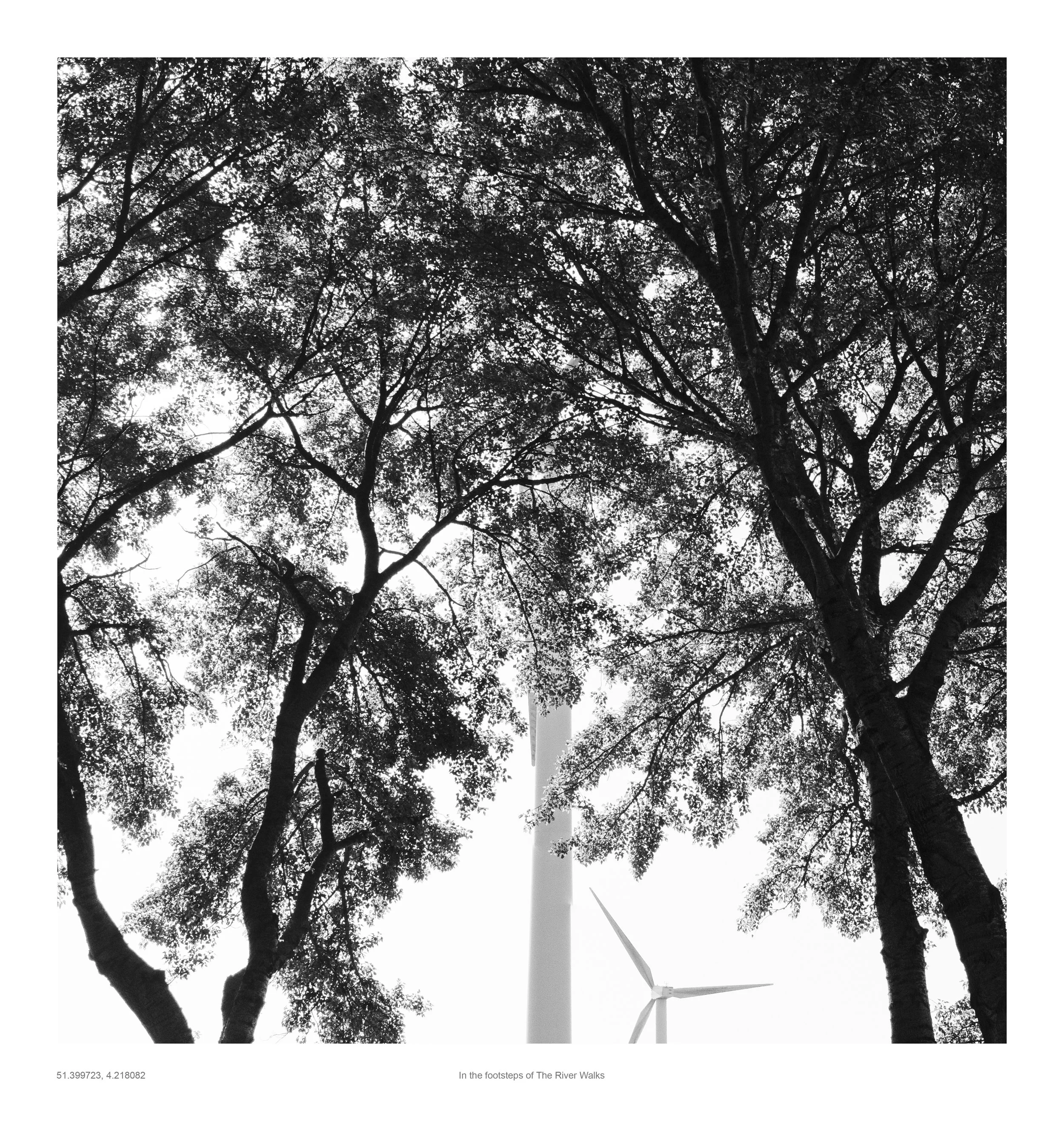 windmill.jpg