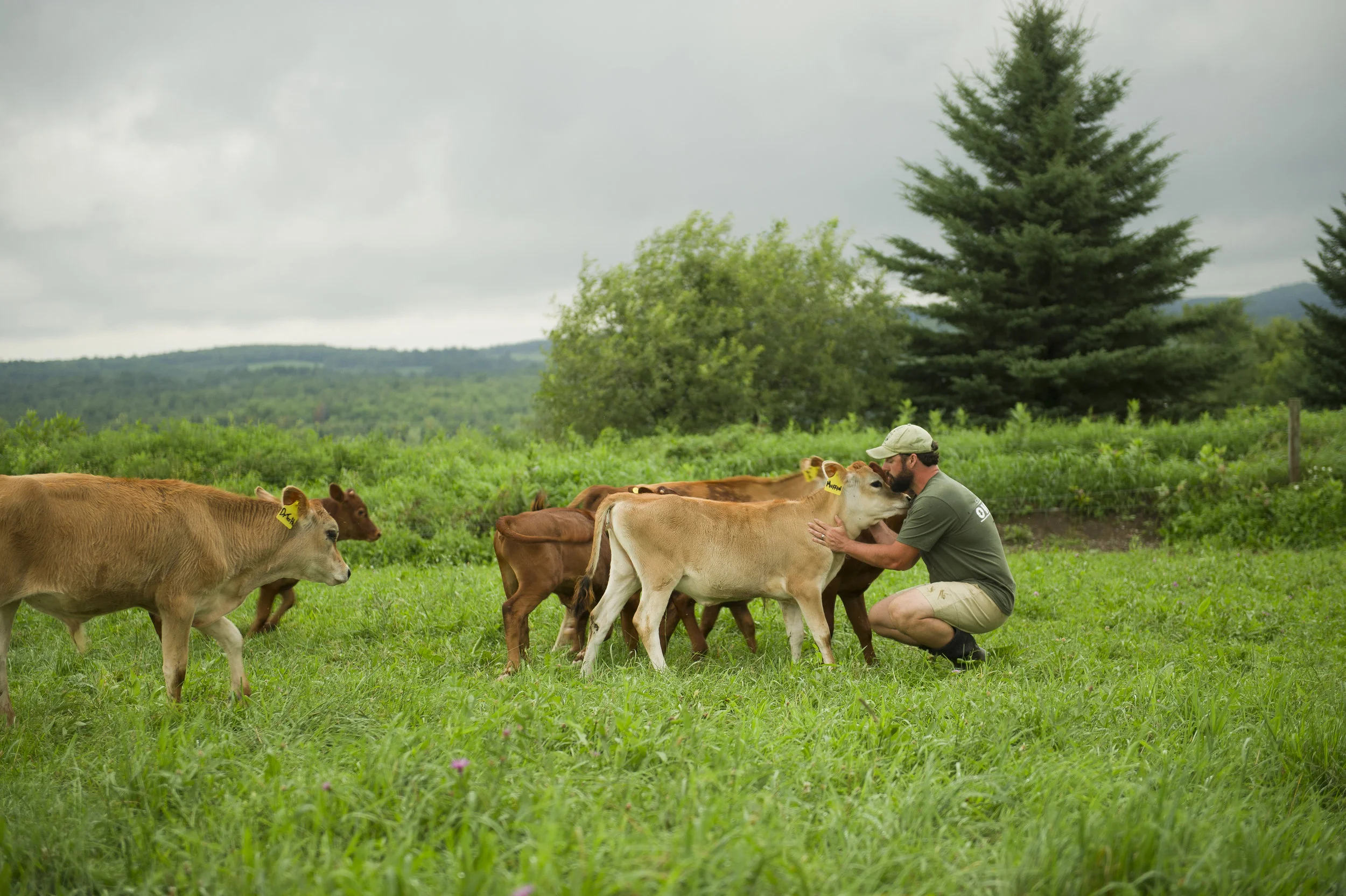 Tyler with calf 4x6.jpg